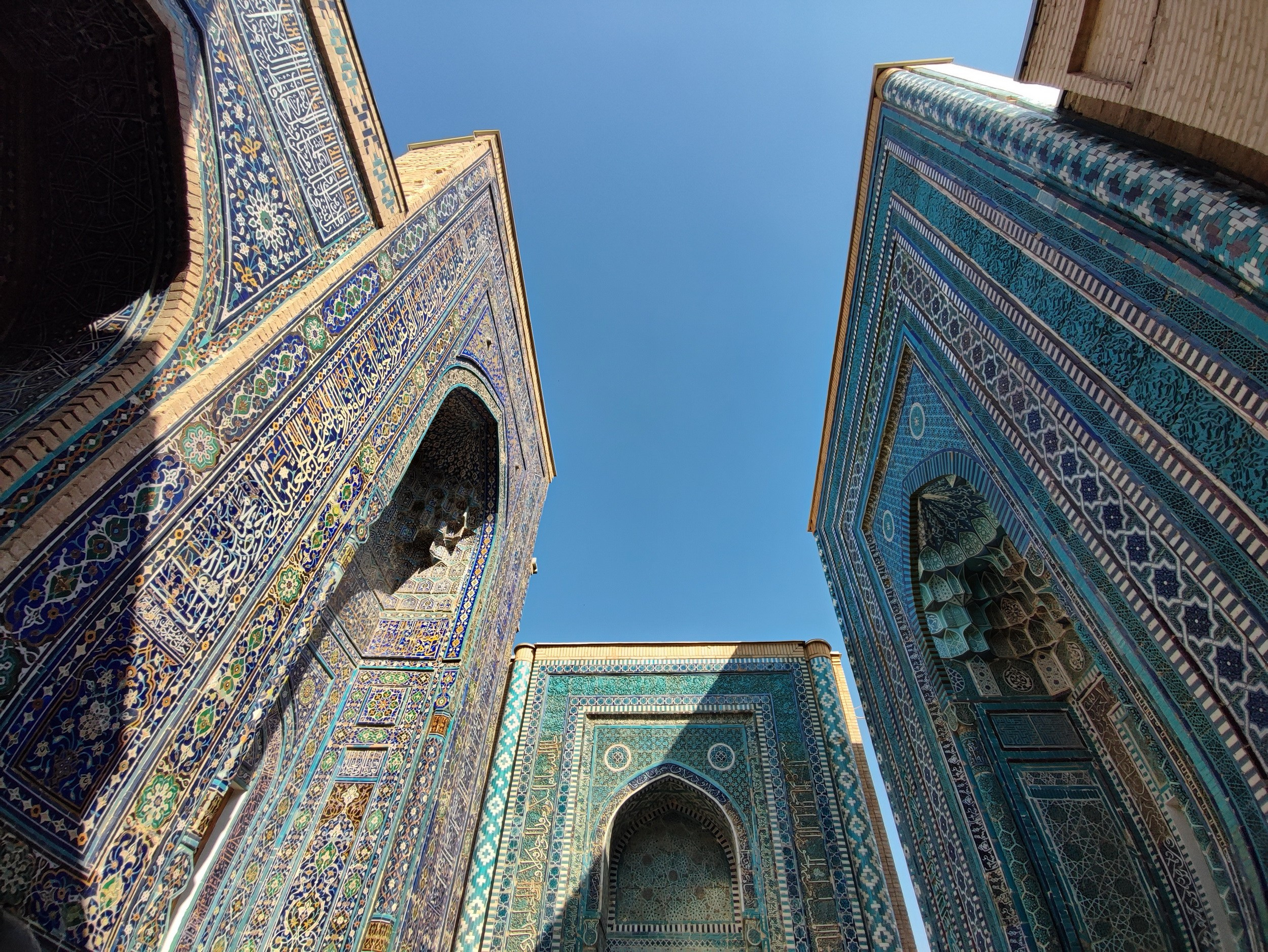 Намобилкус узбекский. Репортажный фотограф Алексей Пирязев