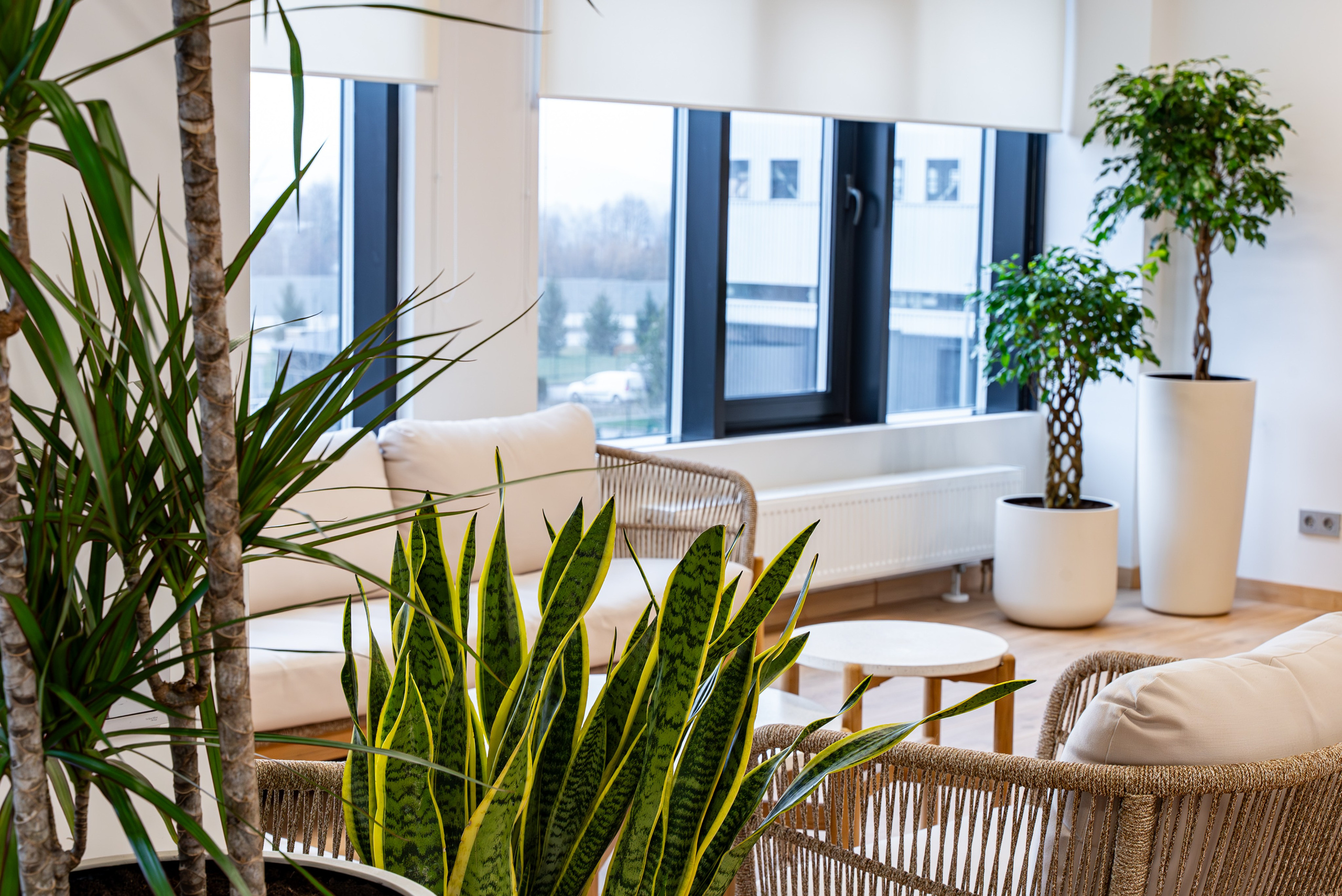 Индустриальный парк — озеленение. KUSTOV PRODUCTION — профессиональная фотосъёмка в Москве