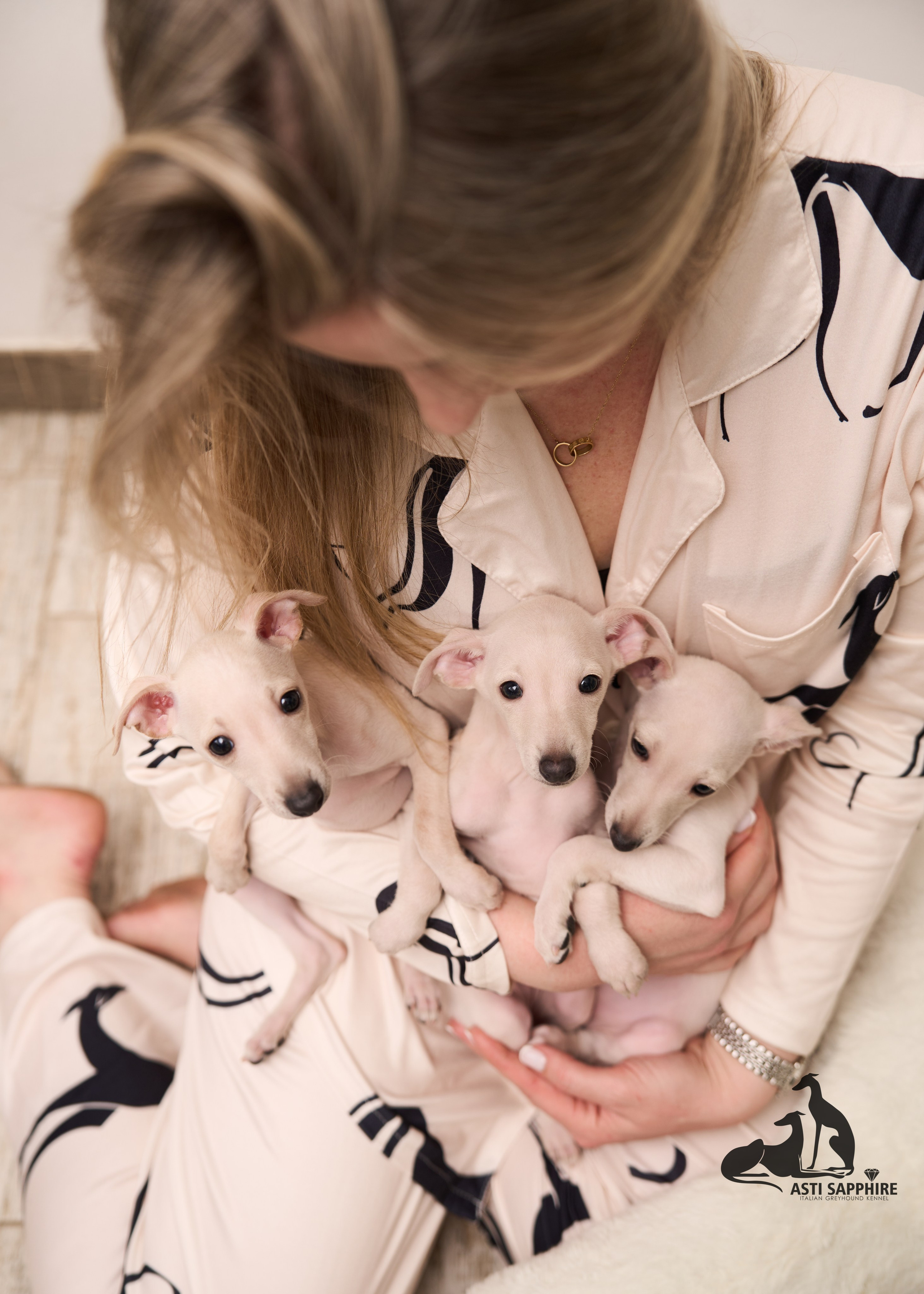 фотосессия Щенков в сочи