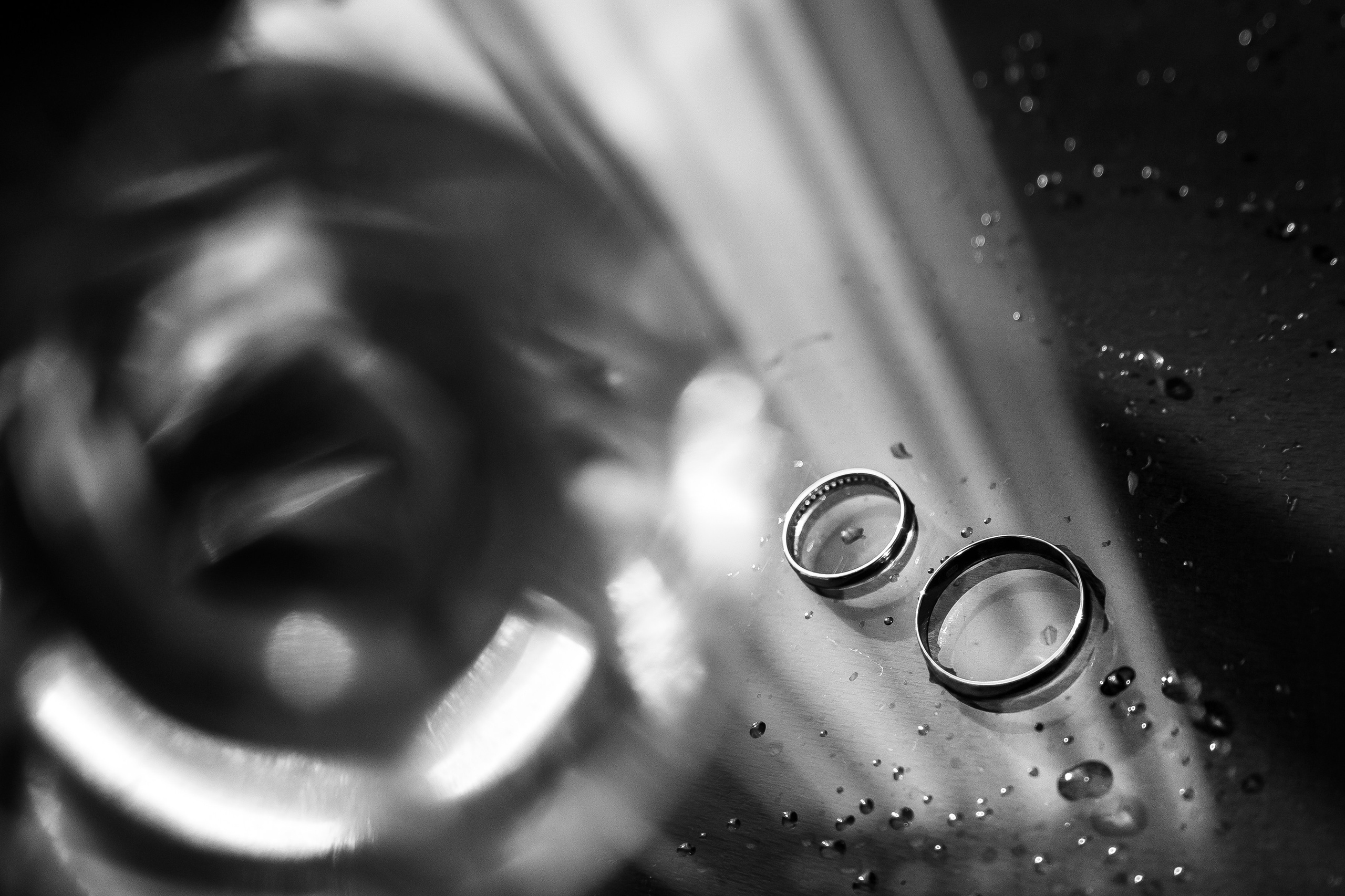 E|P. Свадебный и семейный фотограф в Саратове Анжела Борисова