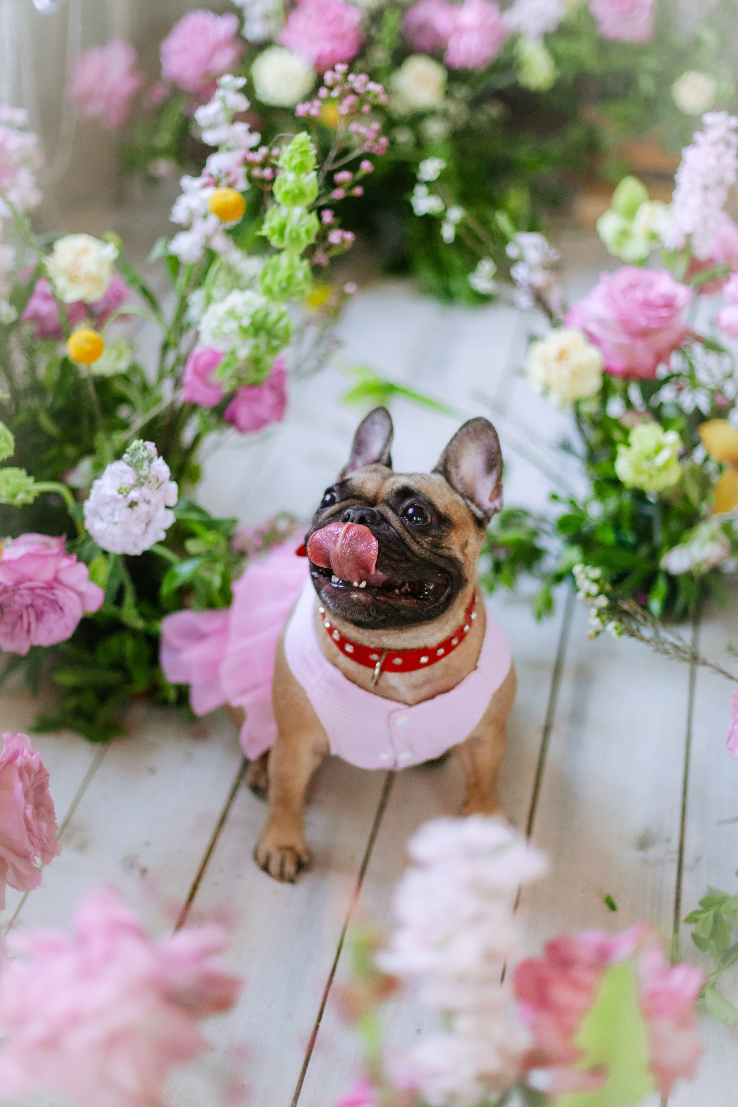 Наталья и Фрося. Фотограф-анималист Татьяна Степанова