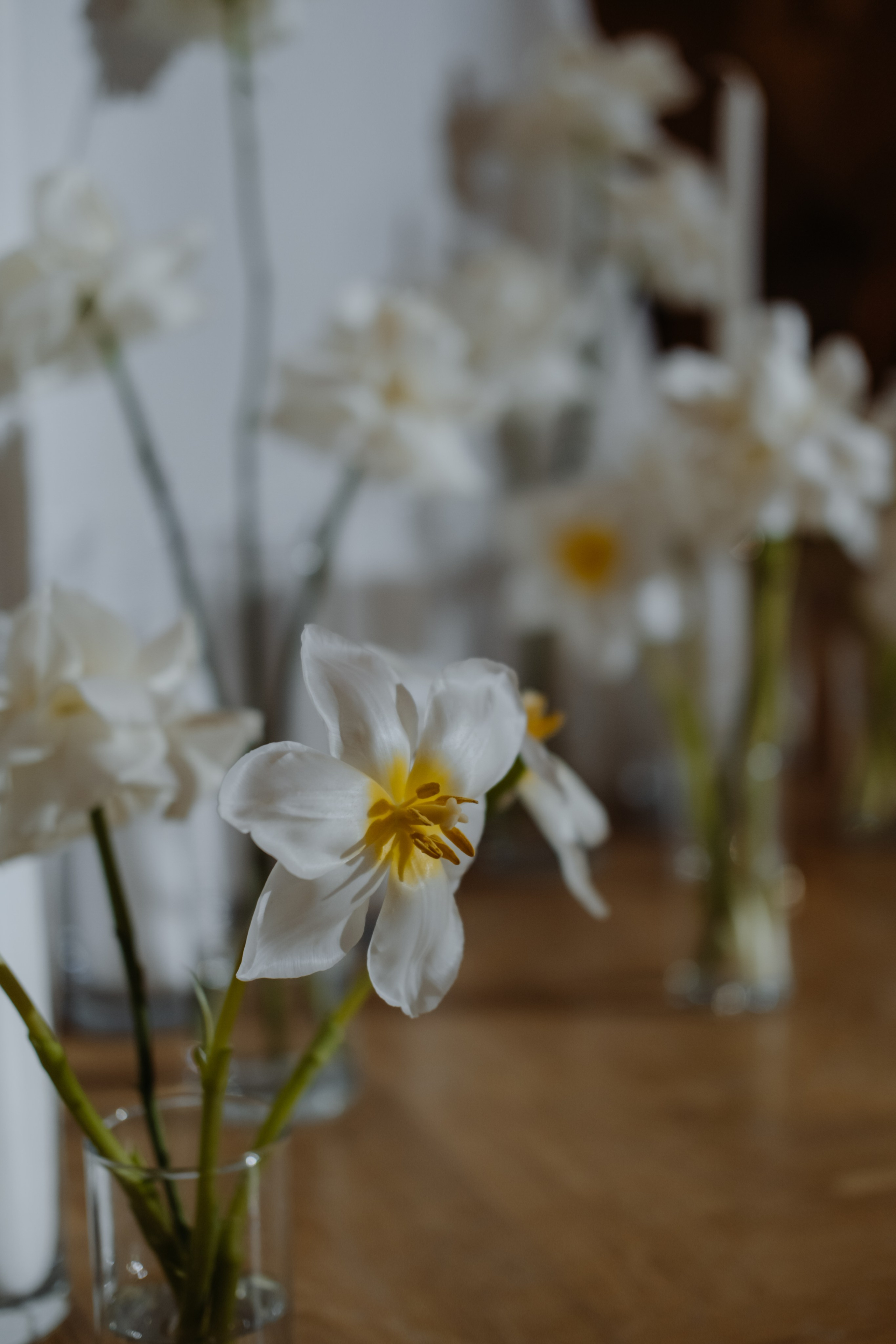 Бежан и Ирина. Фотограф в Астрахани Миронова Анастасия