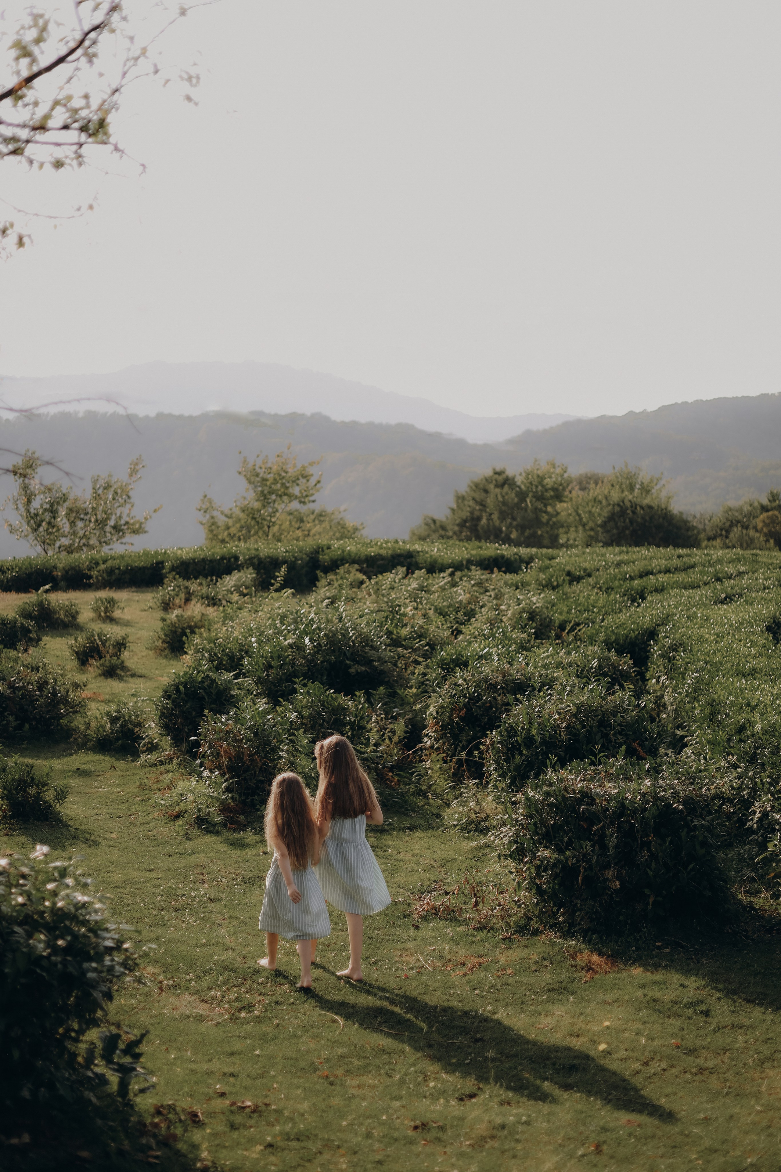Ксеня, Андрей, Даша, Василина. Семейный фотограф Екатерина Еремеева