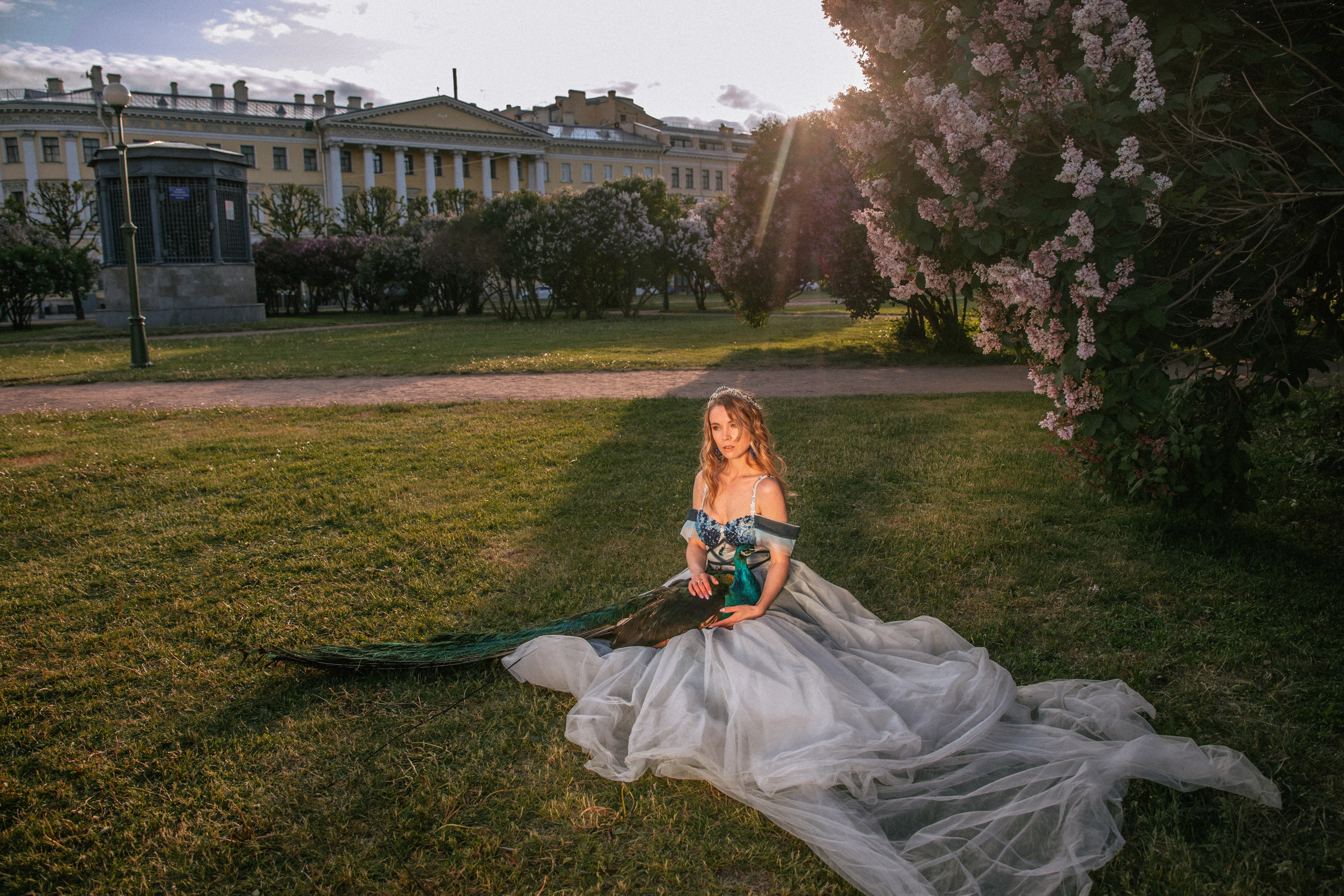 Павлин. Elena Sova — семейный и женский фотограф в Санкт-Петербурге