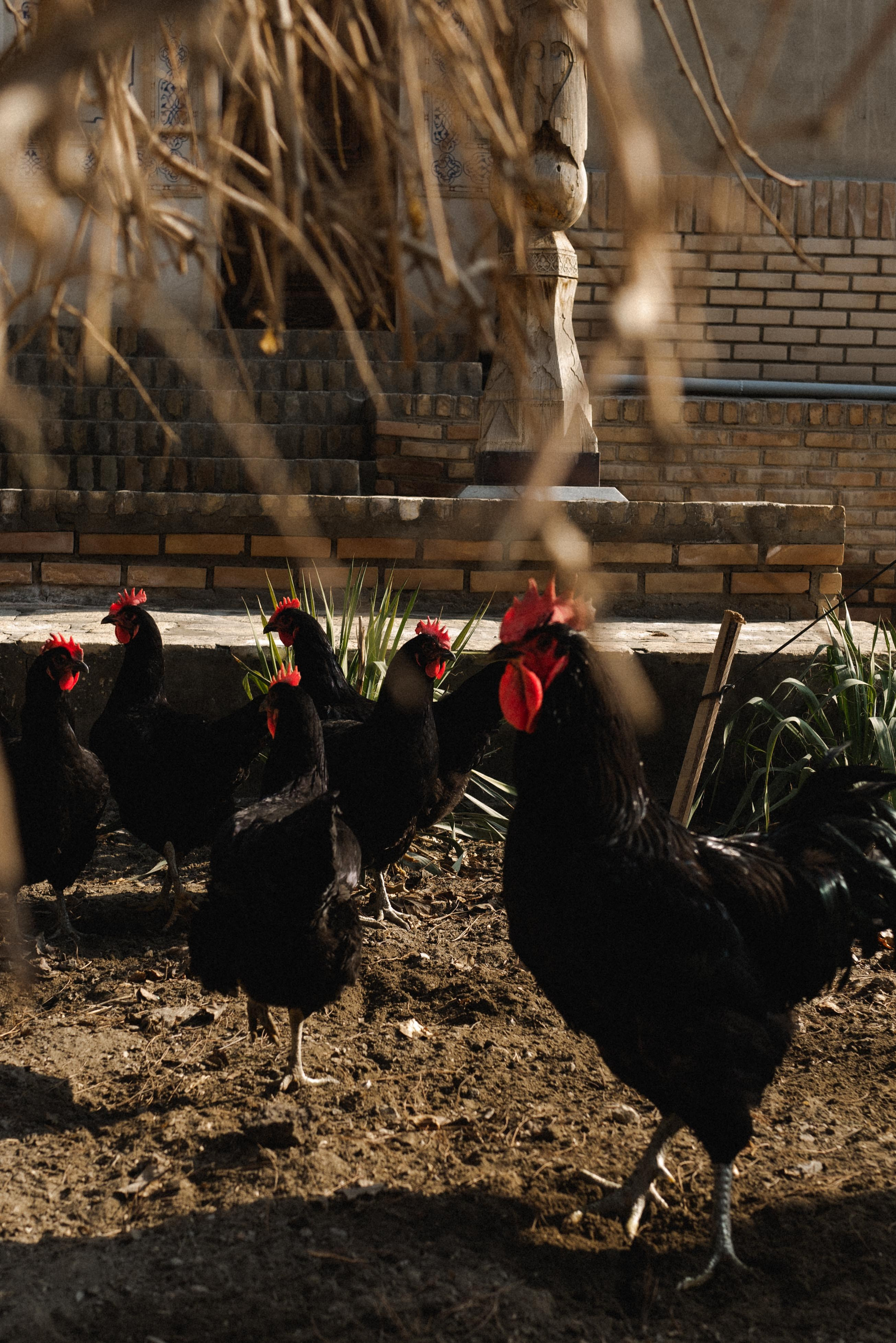 Uzbekistan. Фотограф Евгения Добротворская