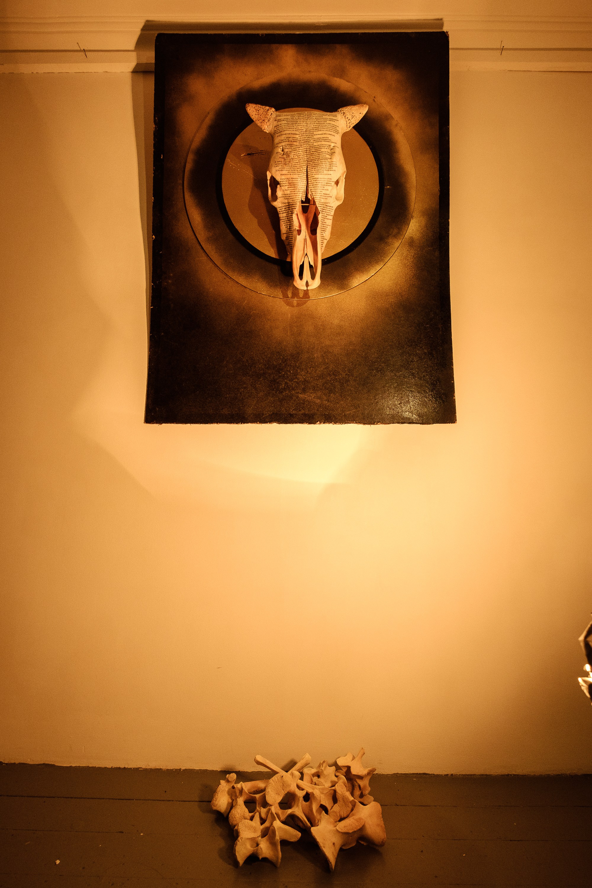 The Sacred Cow is dead for a long time. Alexandr Staub Multidisciplinary artist