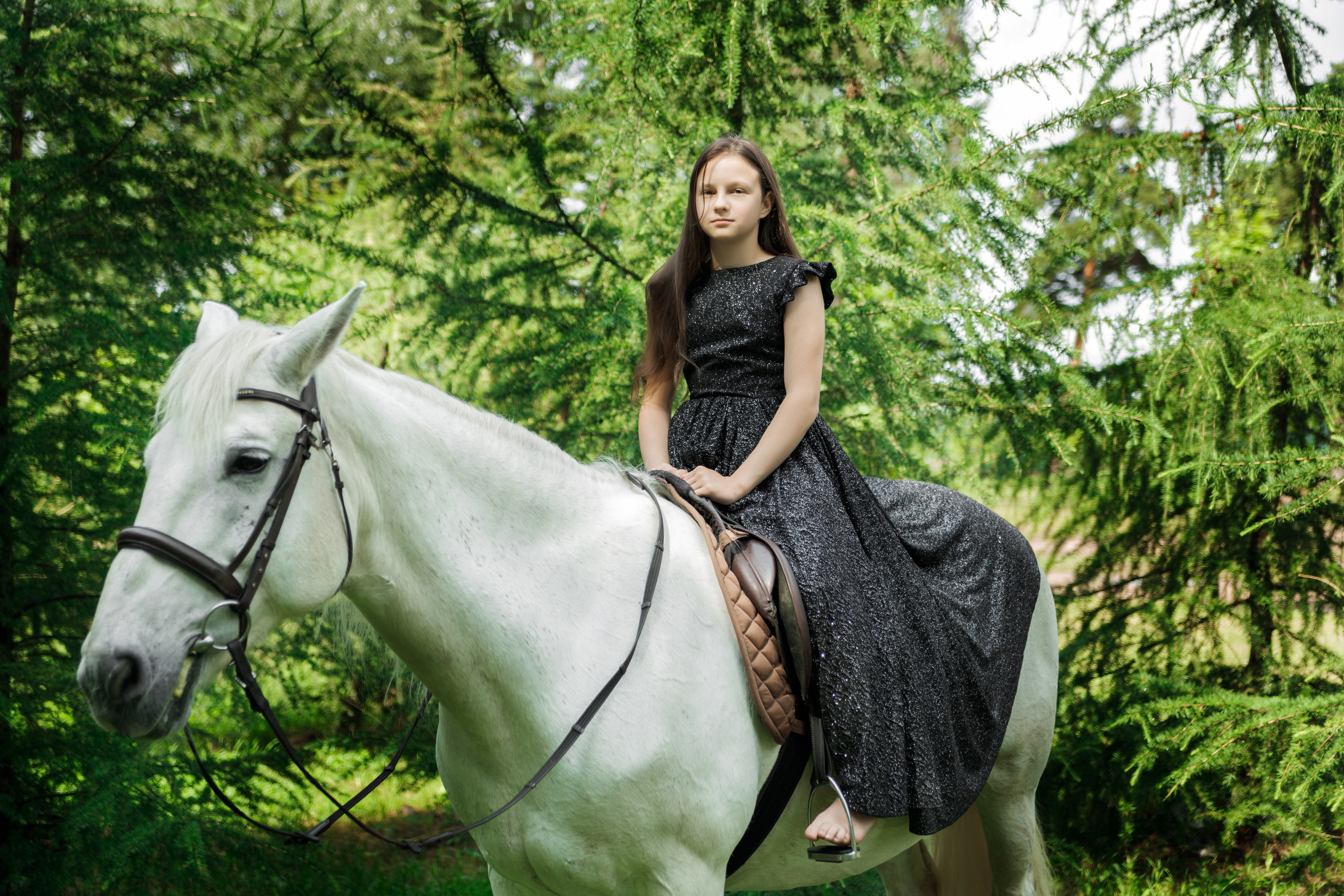 Фотопроект "Horse"