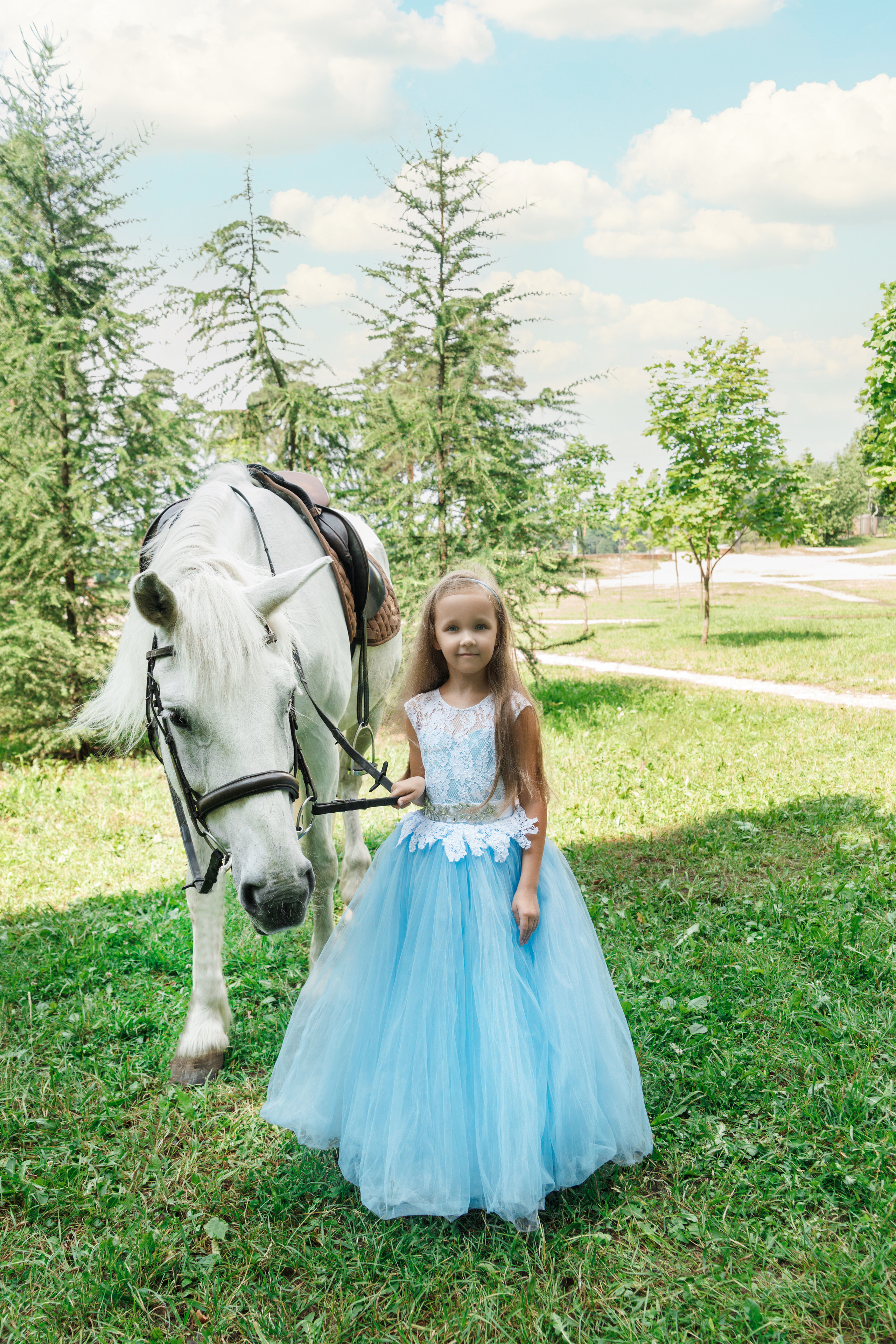 Фотопроект "Horse"