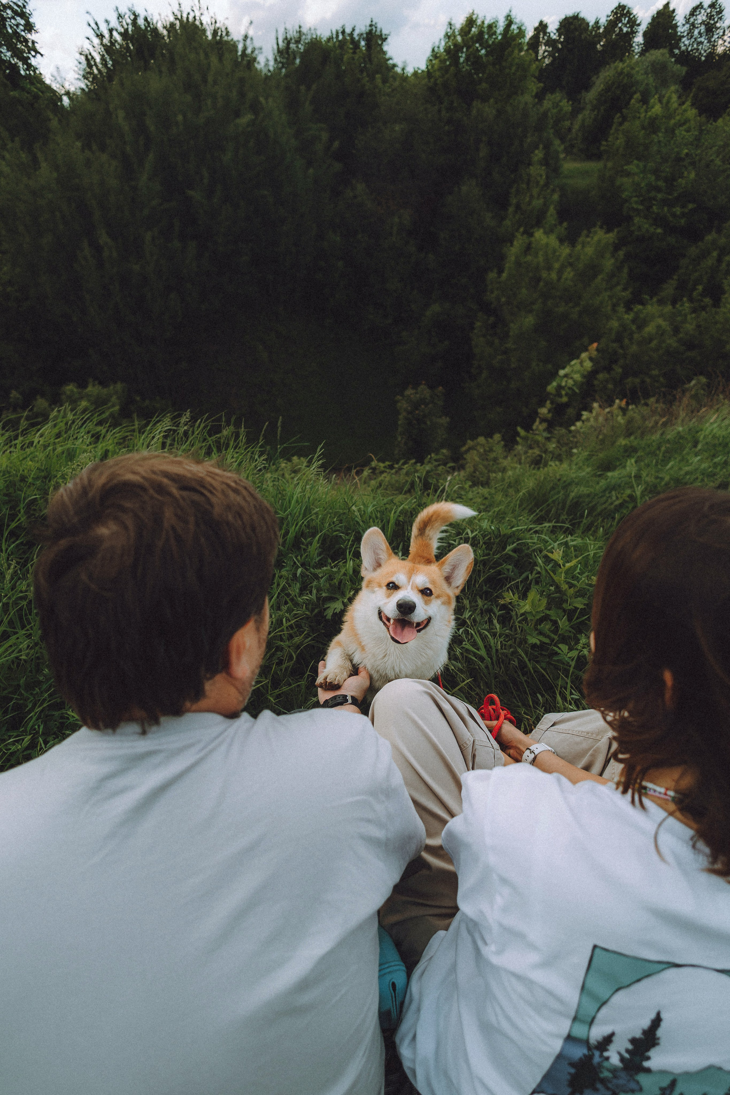 Вирджик и его семья