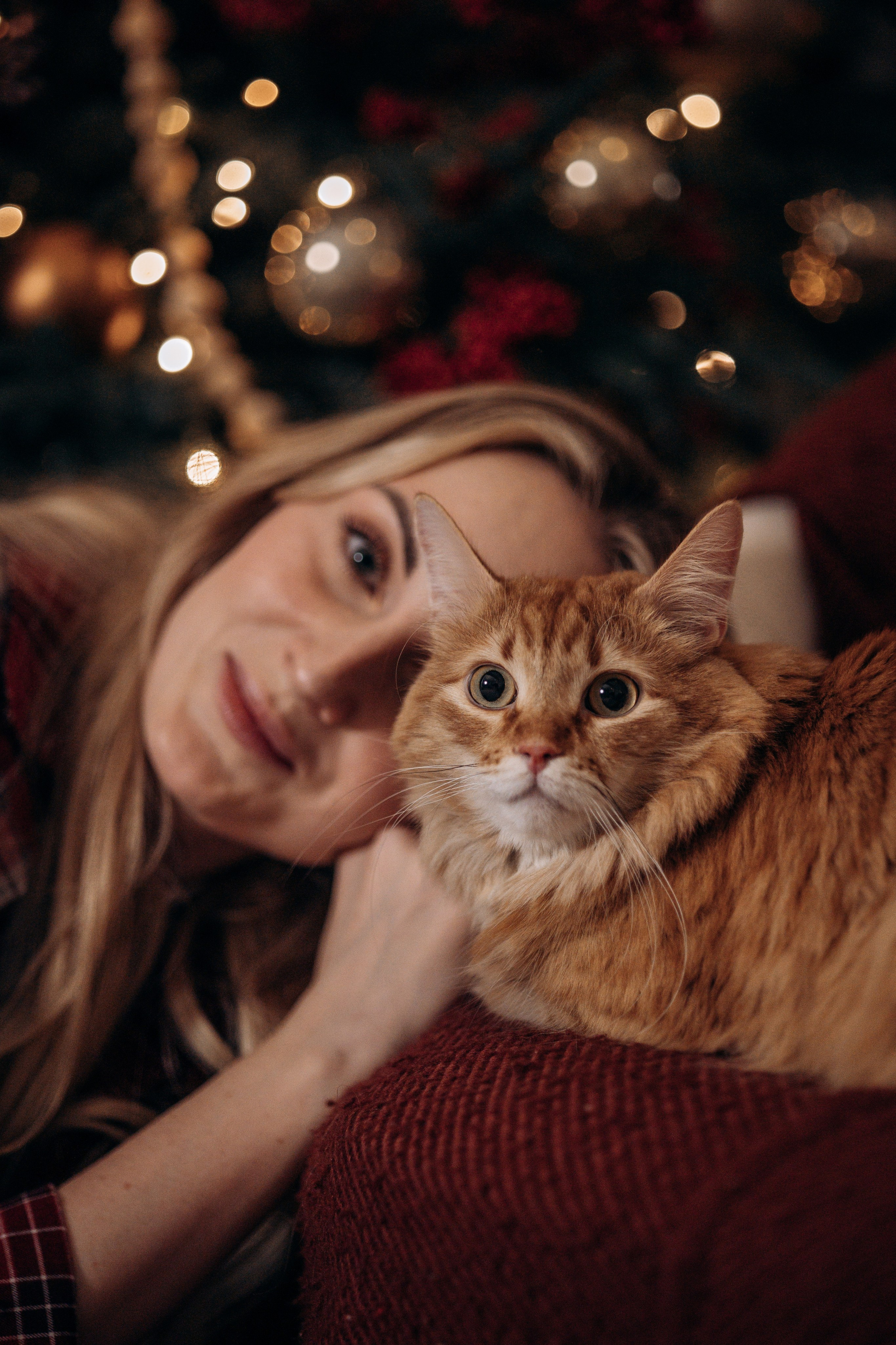 Эля и Франц. Фотограф — Анималист | Санкт-Петербург