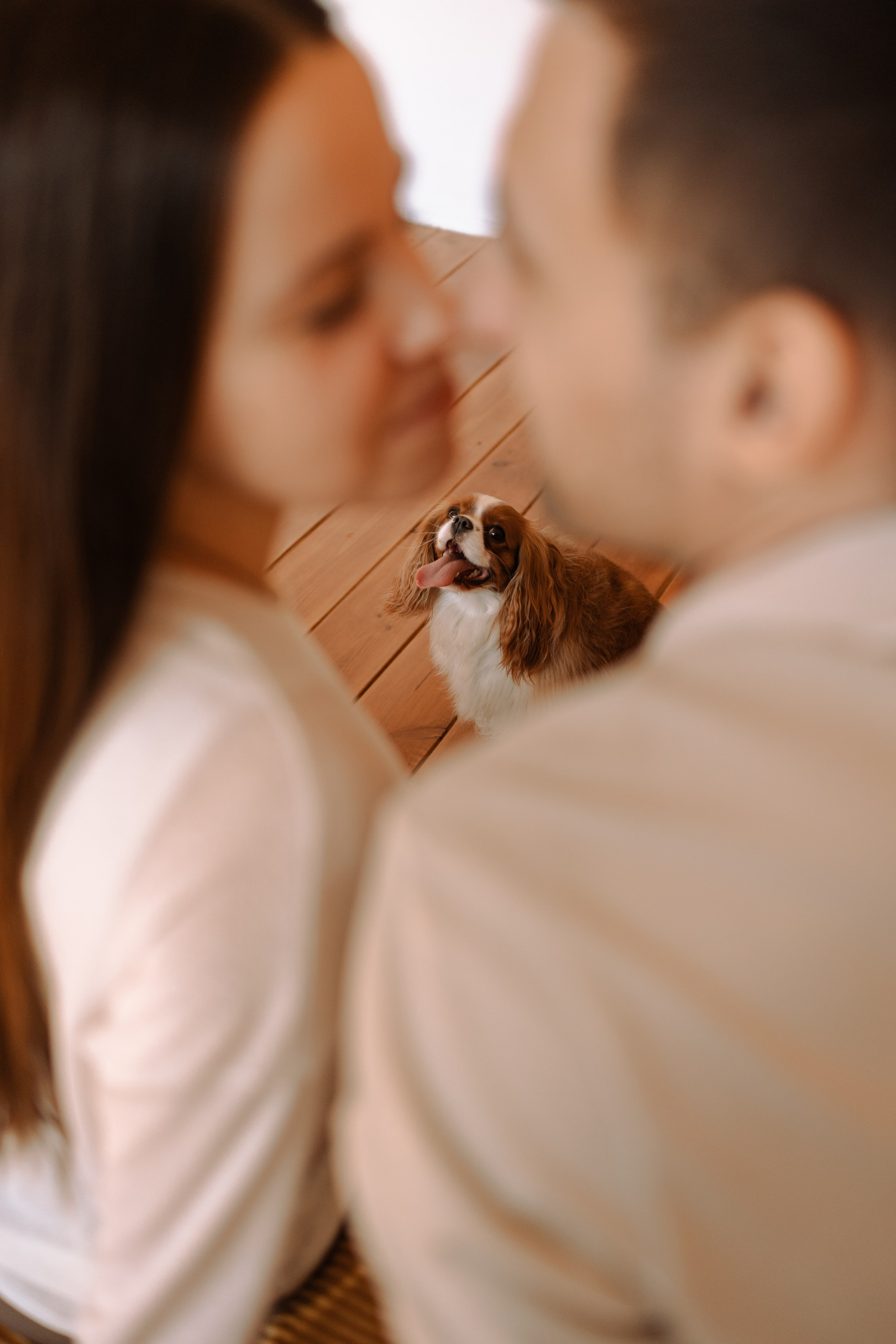 Шерри и ее семья. Фотограф — Анималист | Санкт-Петербург