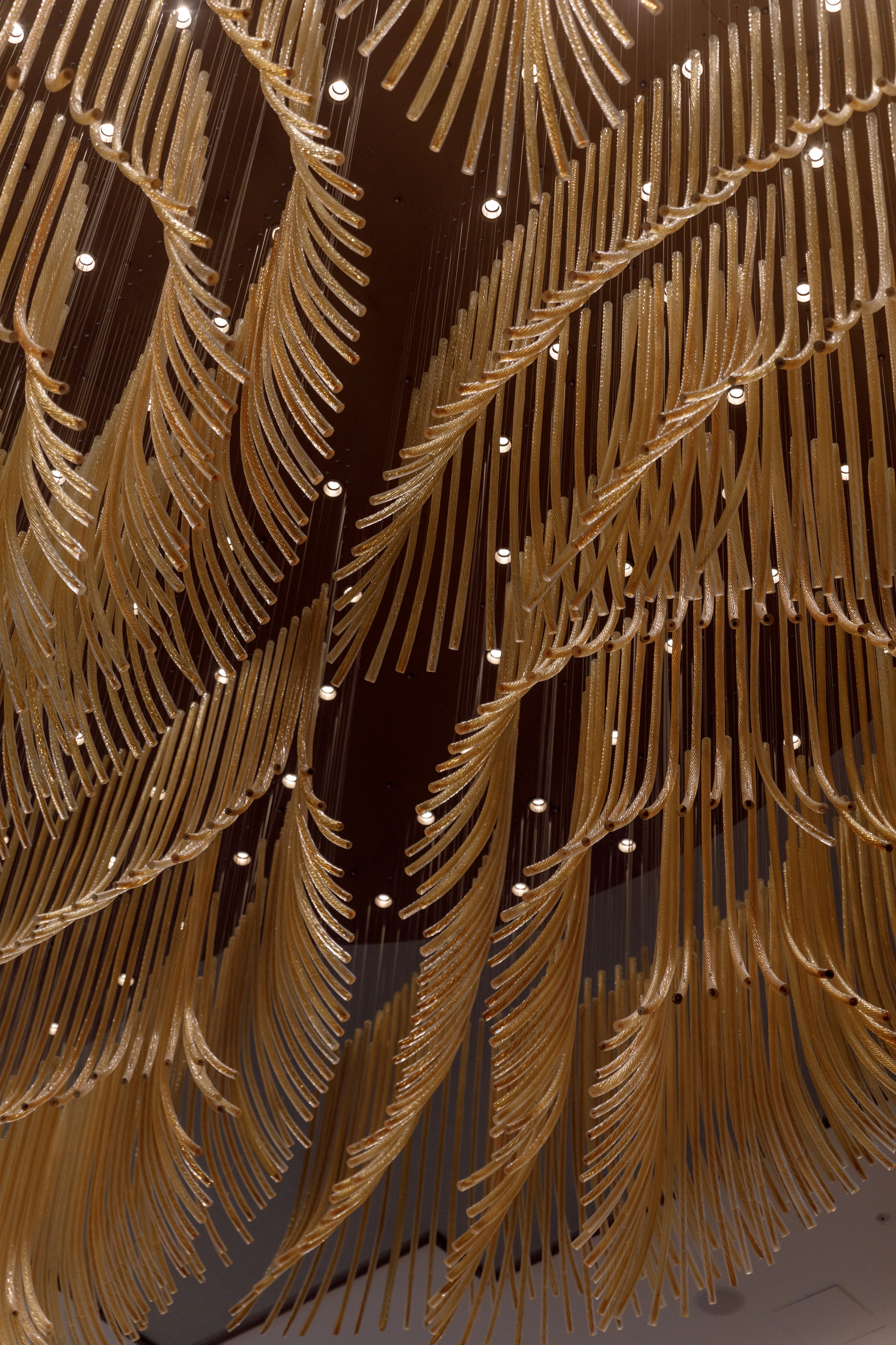 Anastasia & Daniil. Свадебный фотограф в Москве и в Санкт-Петербурге