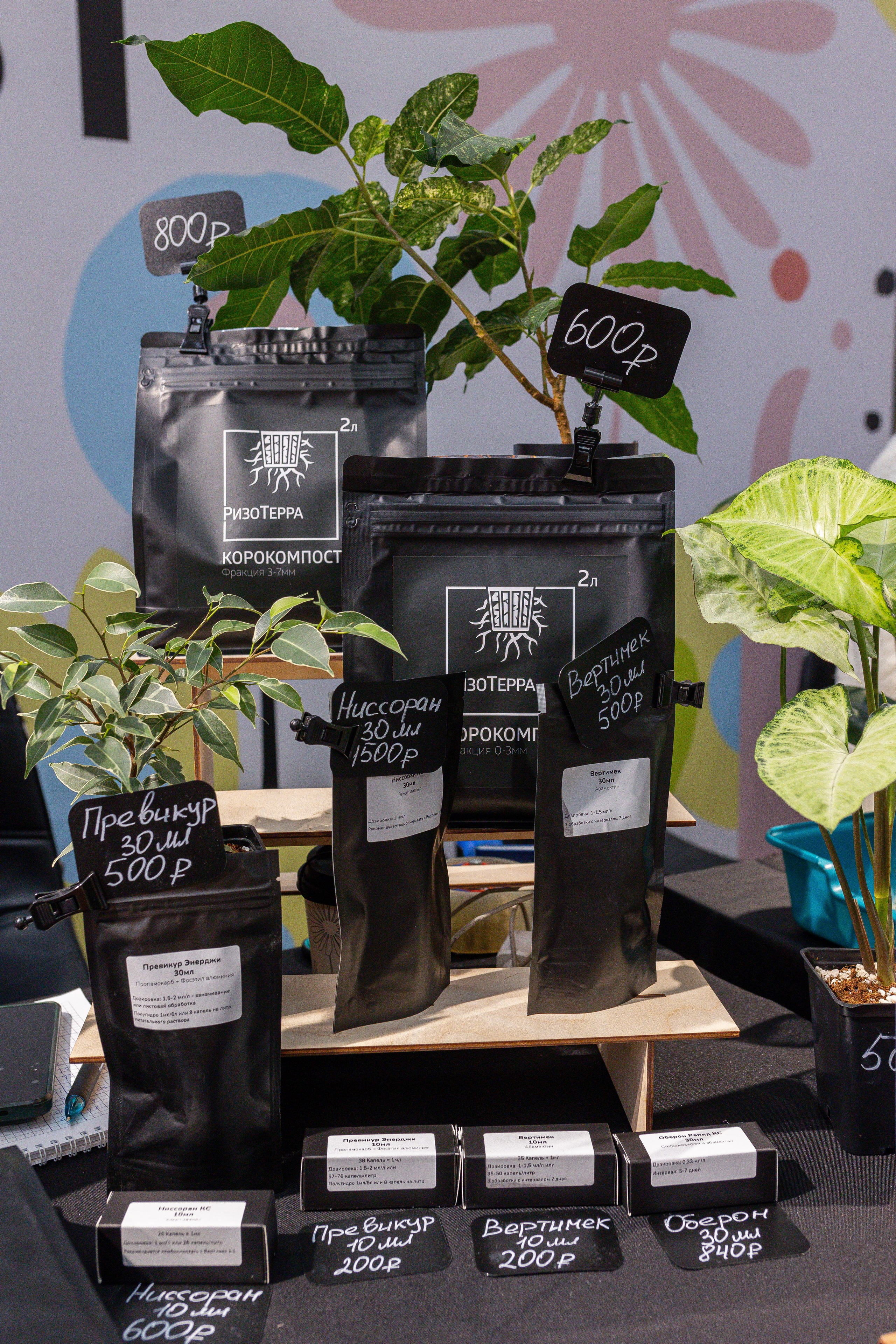 Ярмарка Green Rare 20.09.25. Александра Куликова фотограф, Москва