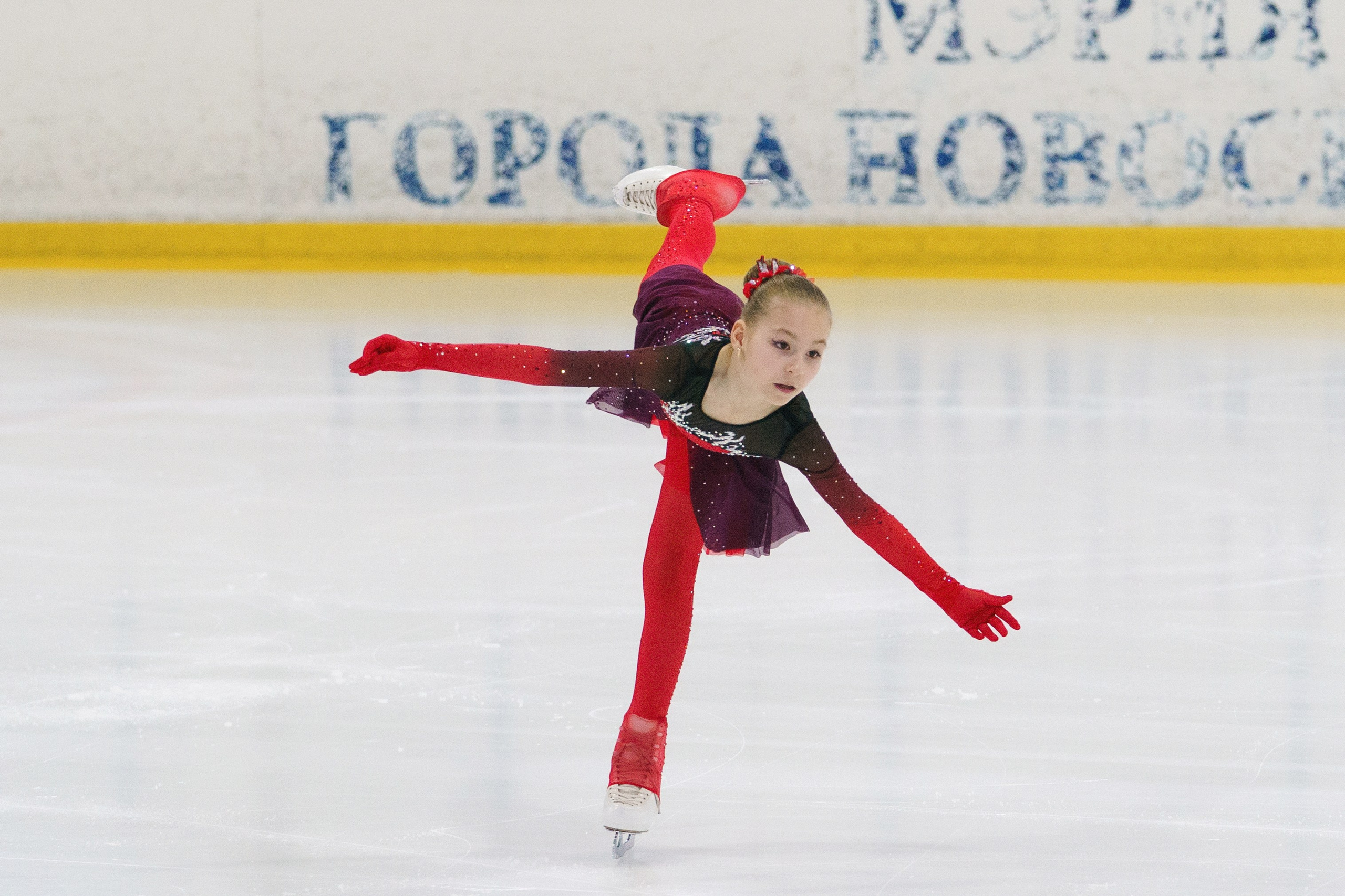 Соревнования ФКК «Майские звезды». Фотомастерская Воробьевых