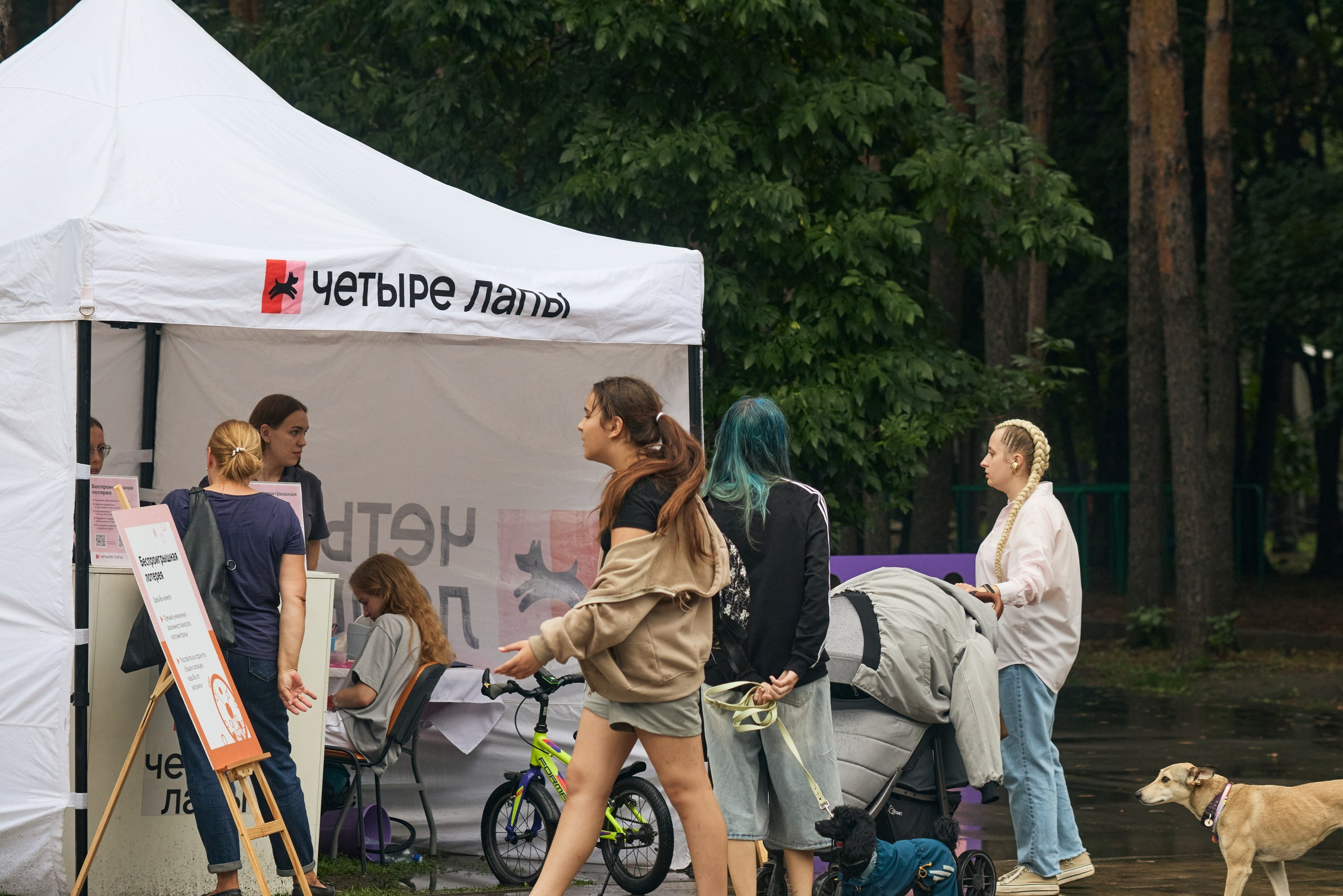 Четыре Лапы. Свадебный и репортажный фотограф Дмитрий Кононенко