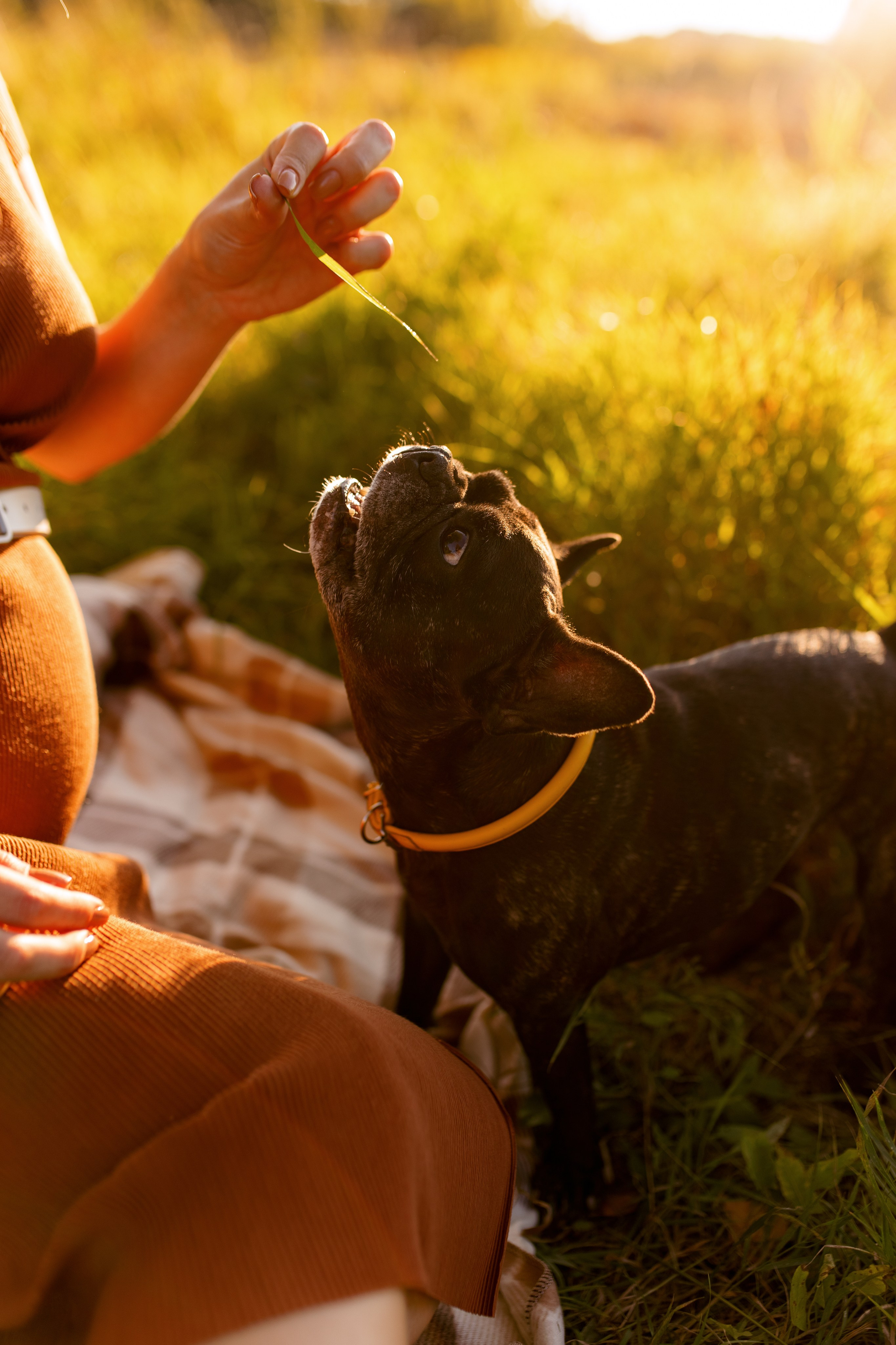 Саша и Женя. Свадебный и семейный фотограф в Туле и области Маша Костина