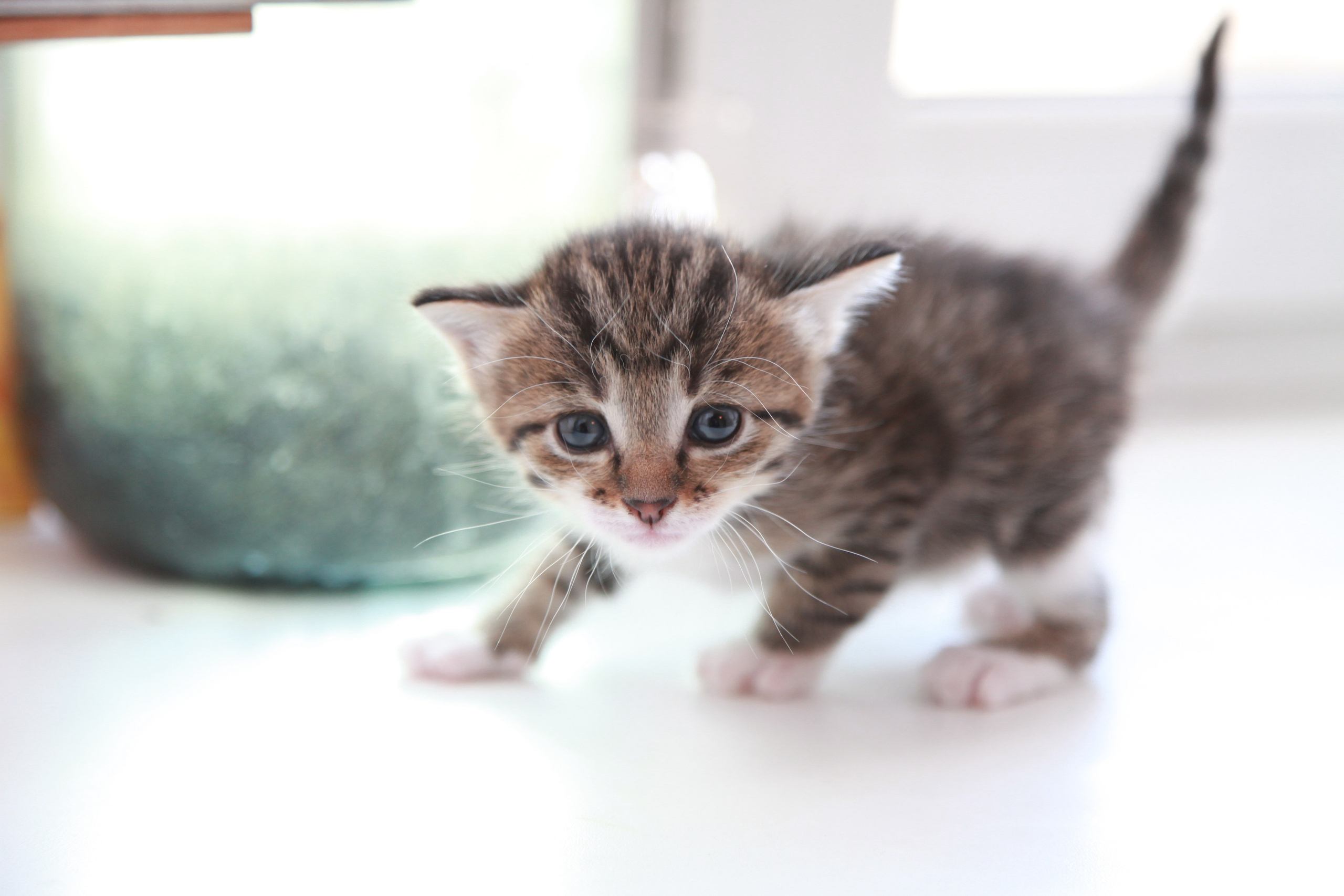 Фото Природы Забайкалья. Студия Максима Белослюдцева