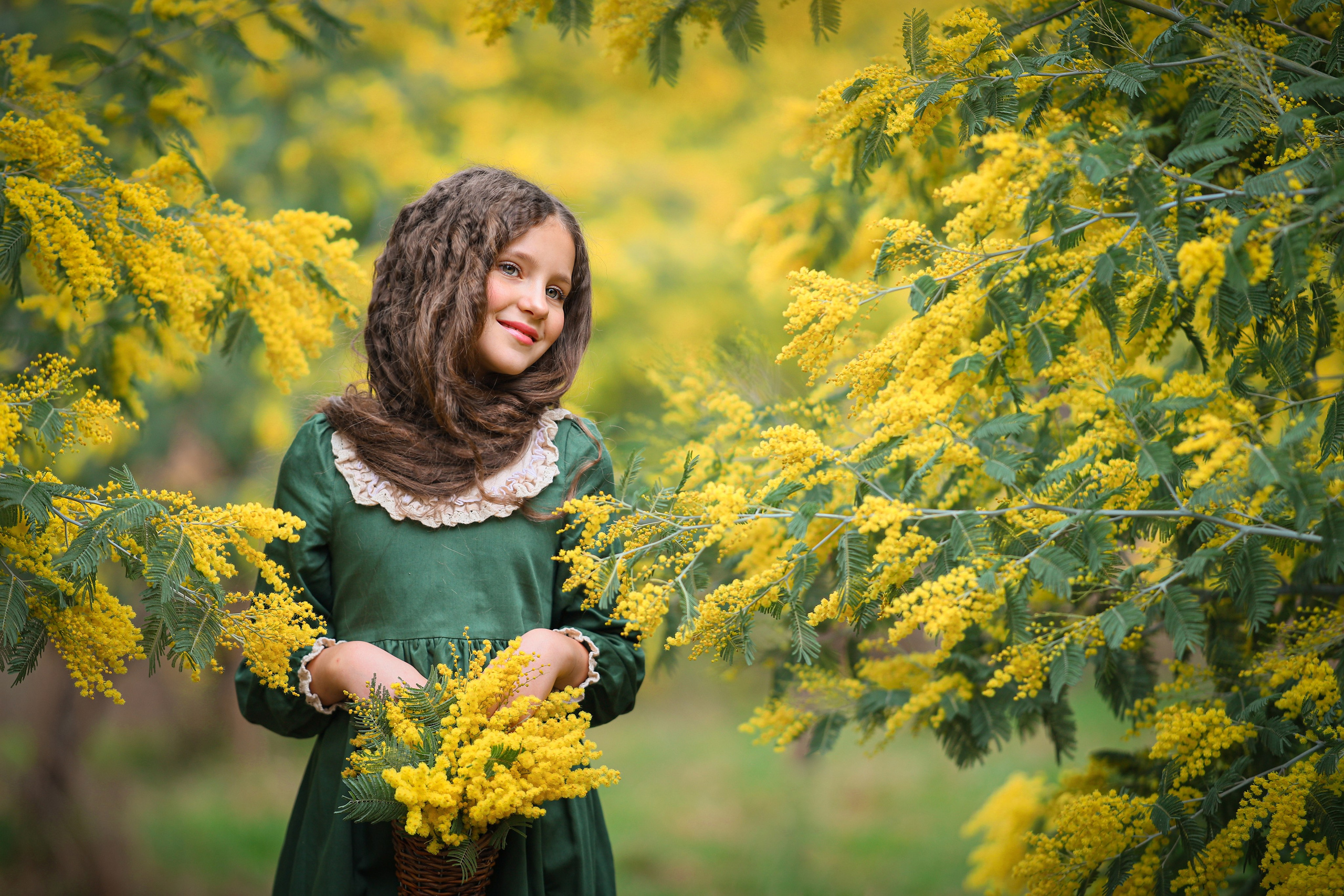 Фотосессия среди мимозы в Абхазии