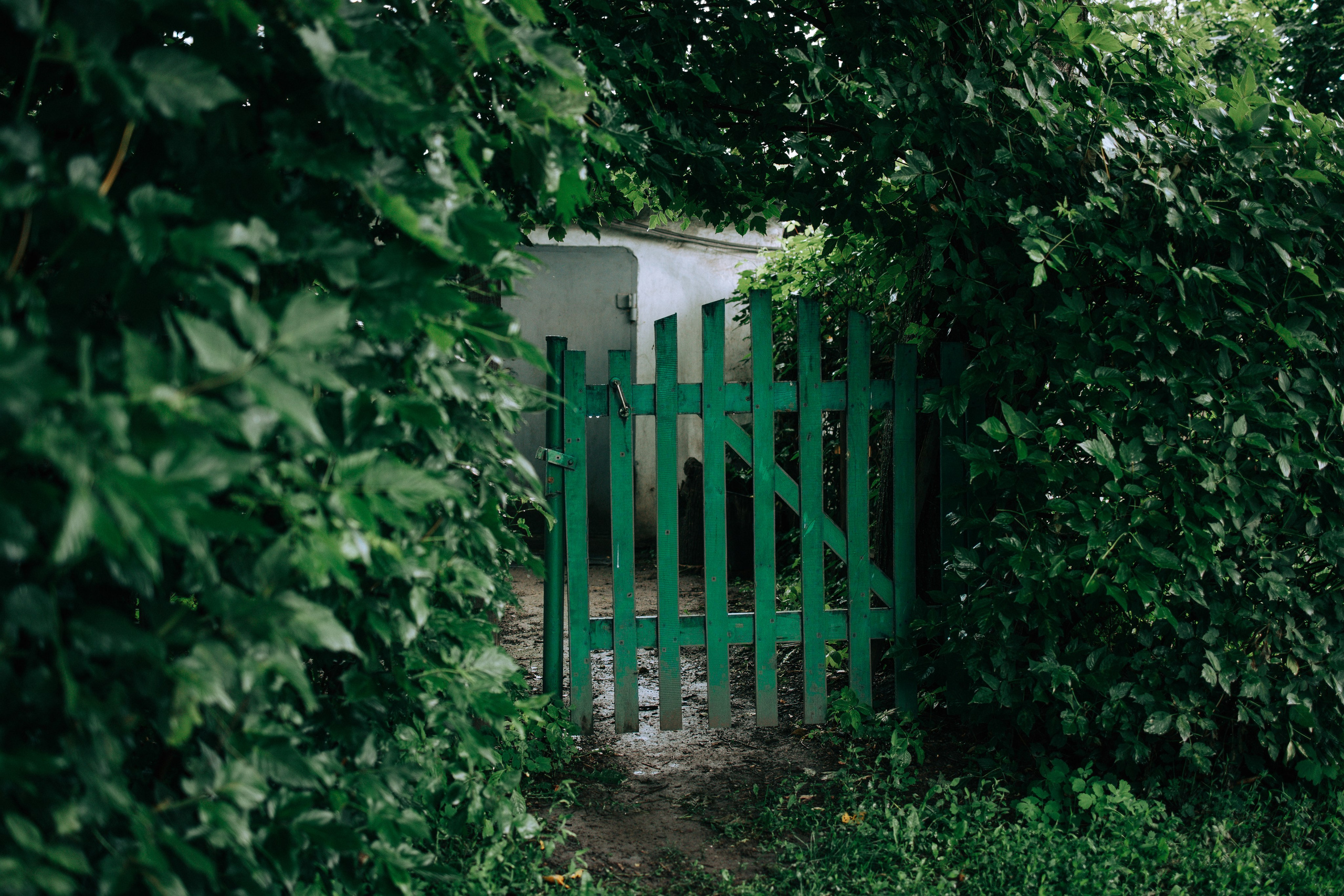 Дождливое лето. Свадебный и семейный фотограф в Туле и области Маша Костина