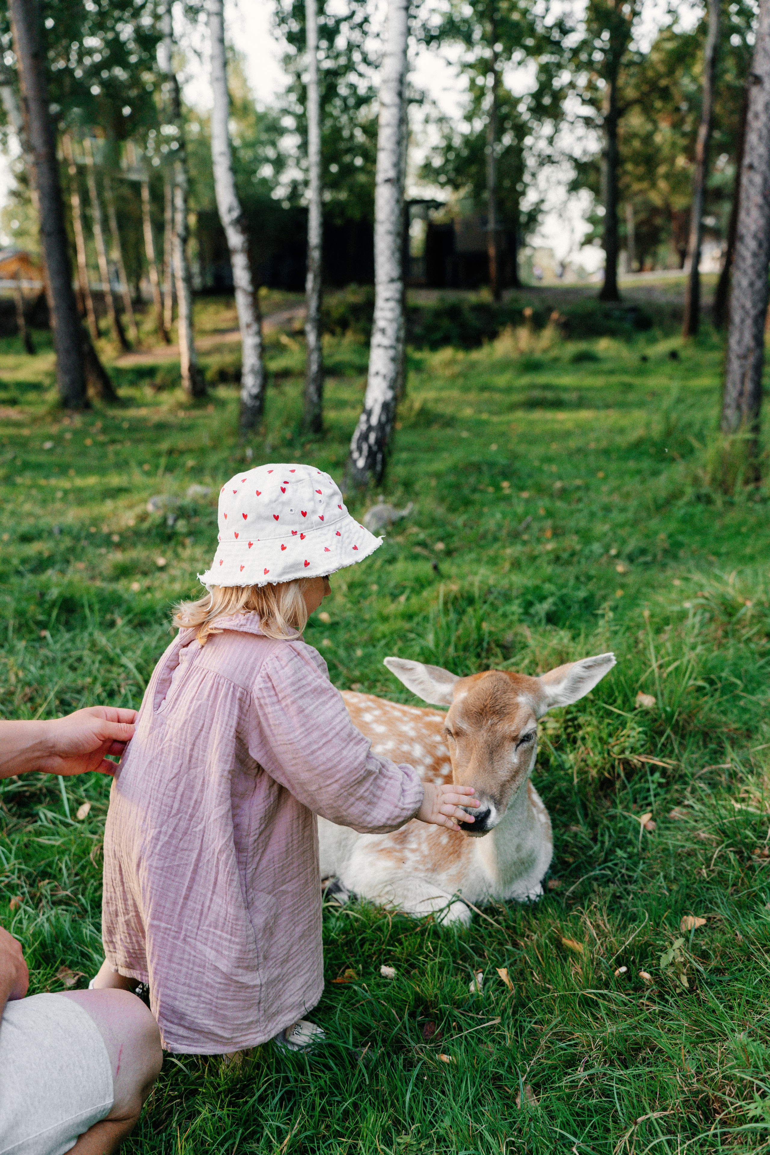 Диприз — в мире диких животных. Ваш семейный фотограф в Минске — Вика Трегубова