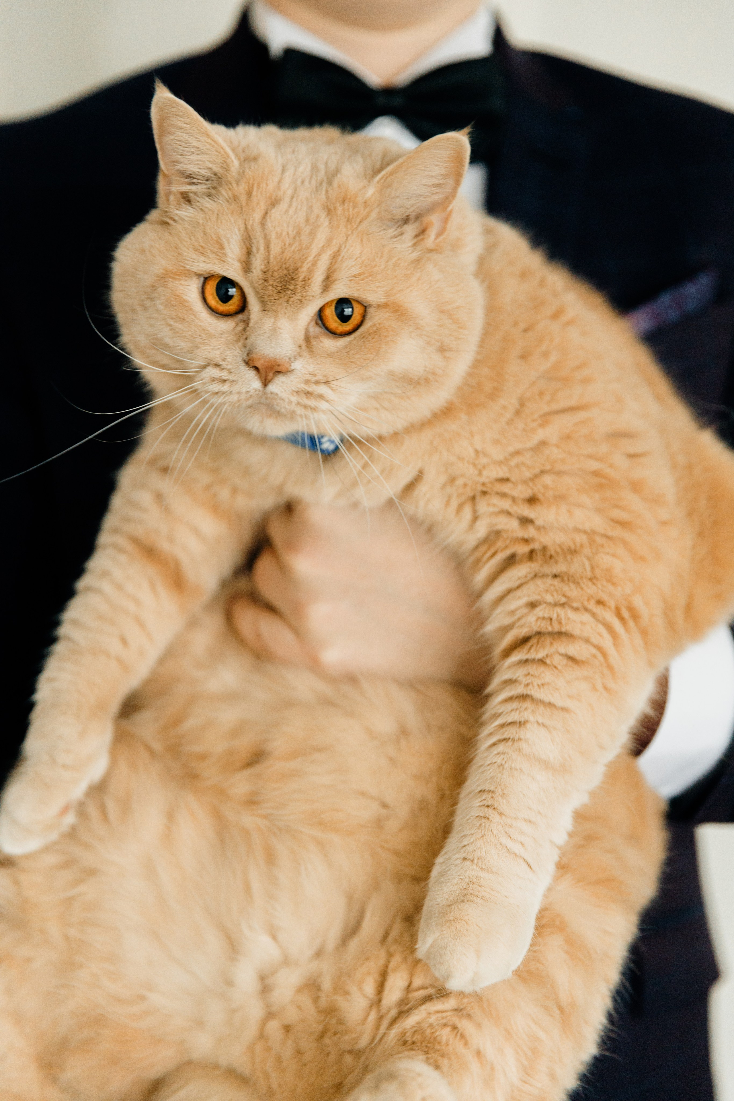 Роман и Евгения. Видеограф Павел Борисов | Москва | СПБ | Брянск