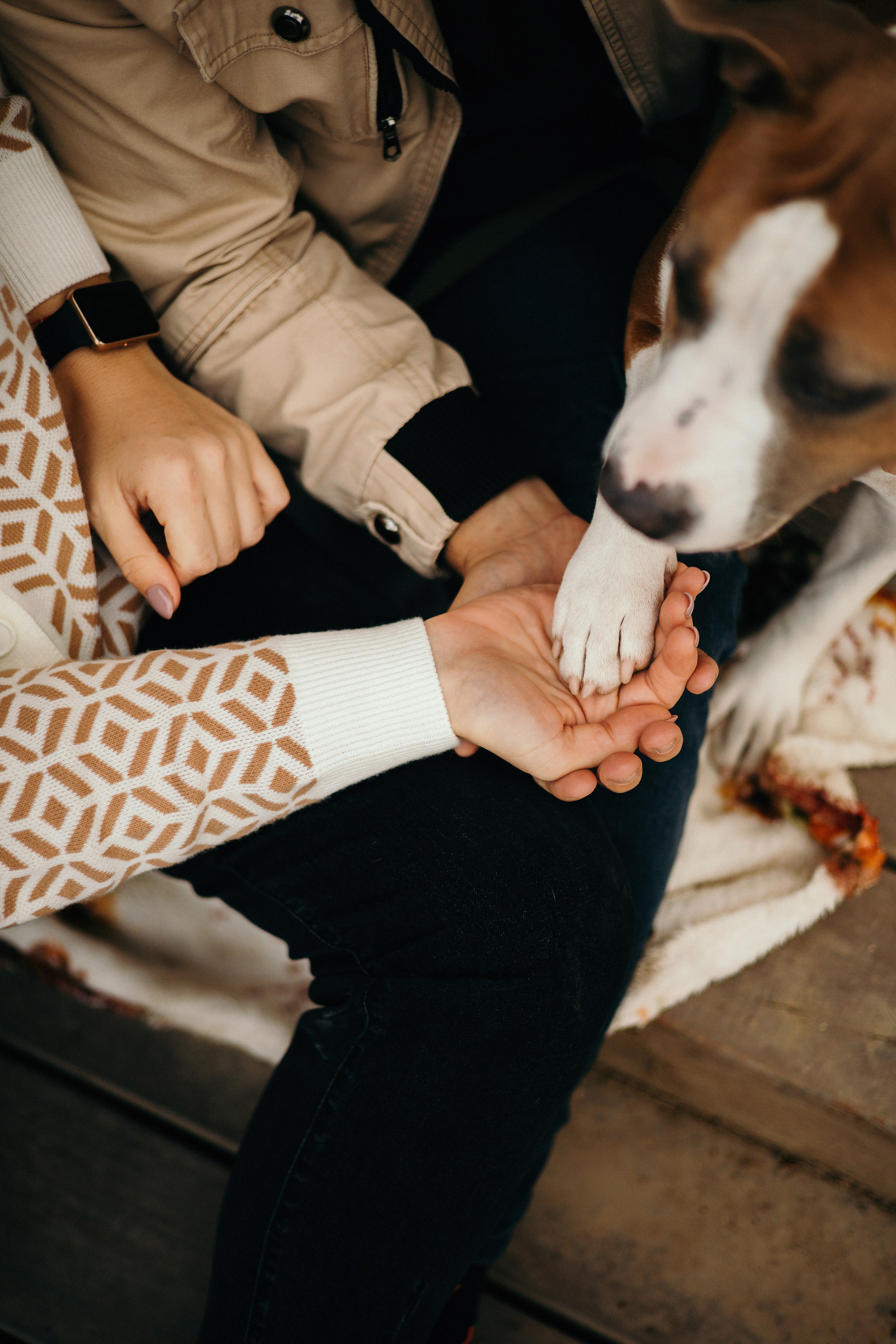 Лаффи и ее семья. Фотограф — анималист Владивосток, Алина