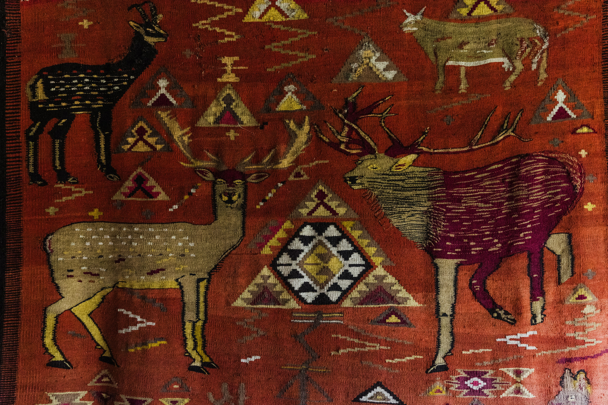 Georgia. Свадебный и семейный фотограф в Краснодаре Роман Моско