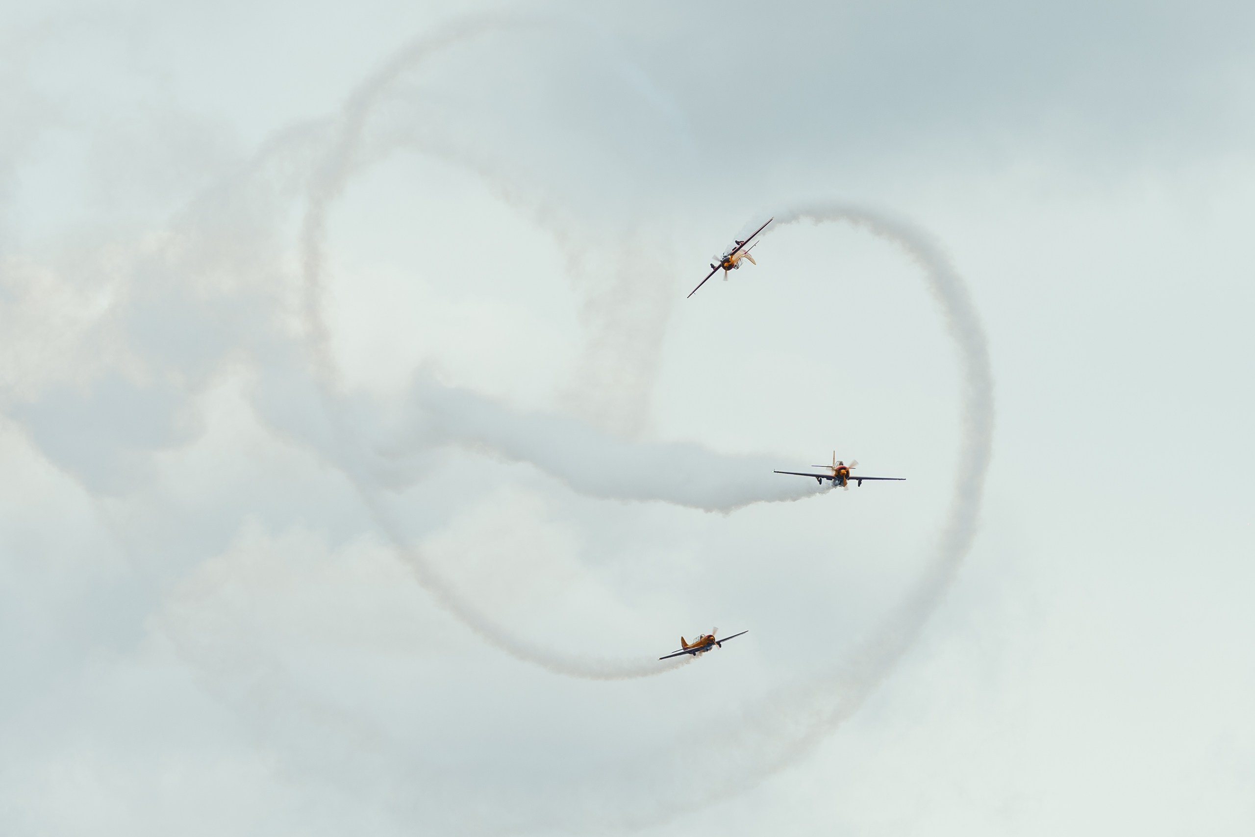 ПАРИ ФЕСТ. Sunnyman