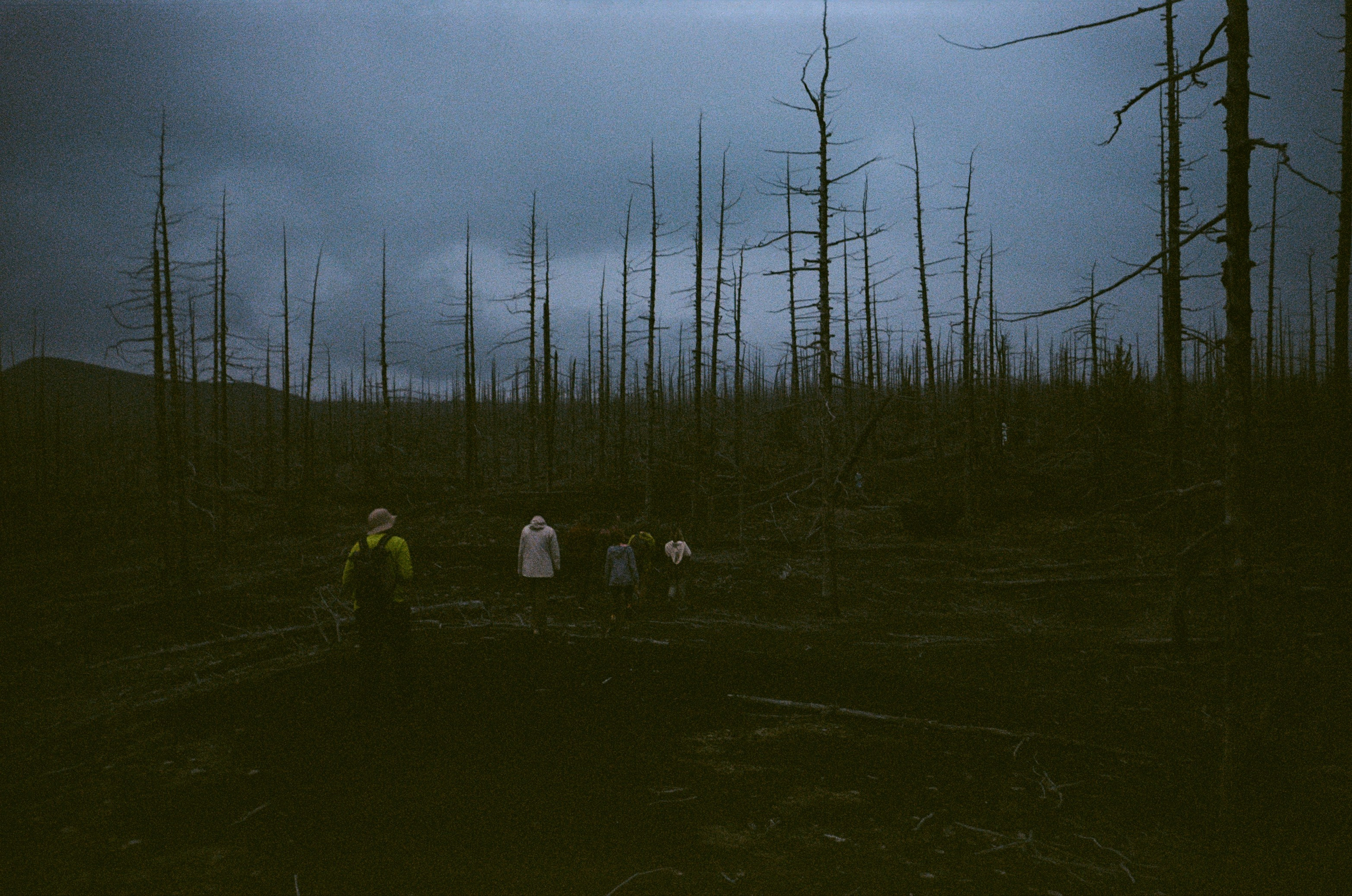 Камчатка на пленку. Travel-фотограф Ирина Милинцова