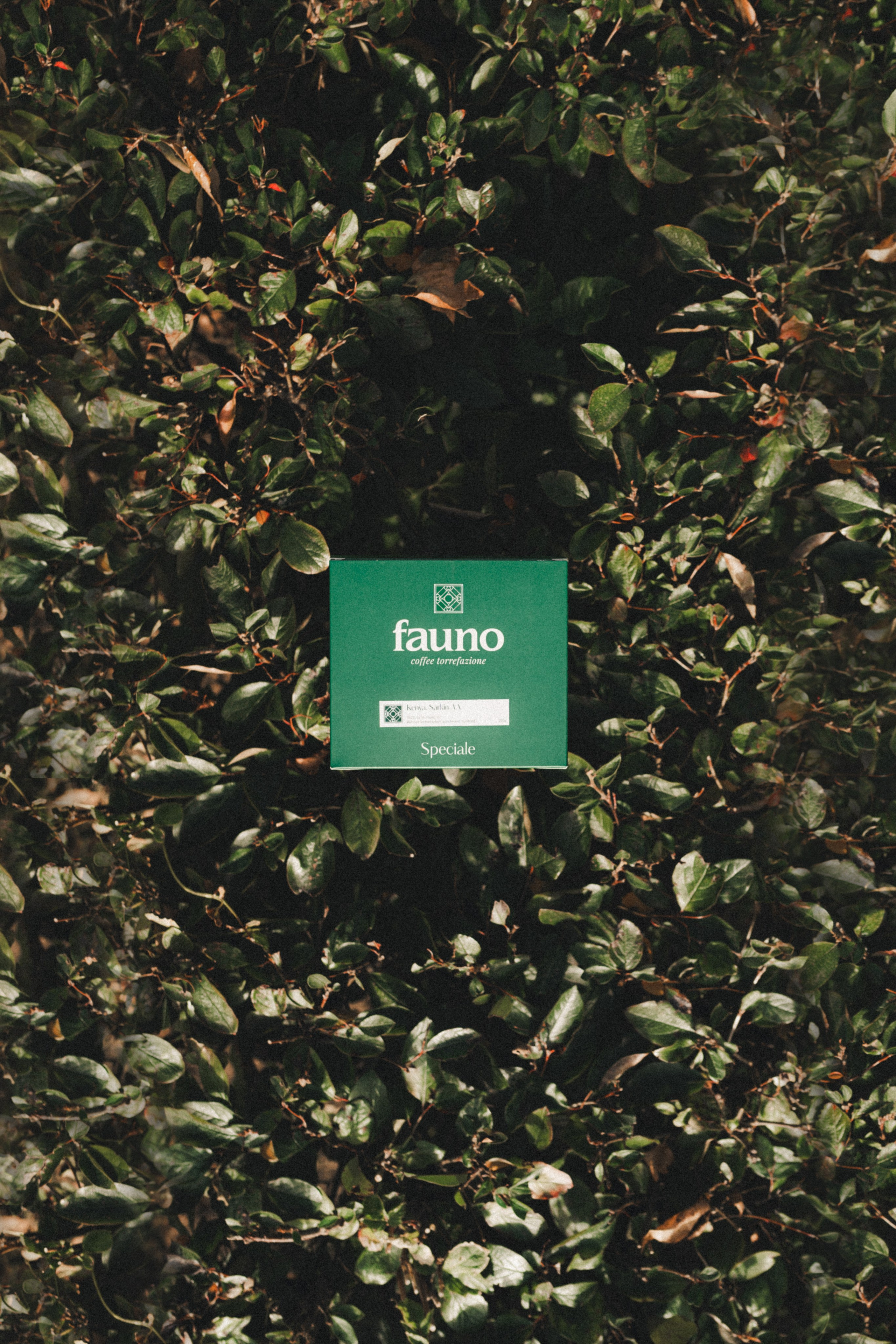 Fauno. Фотограф Илья К. в Москве