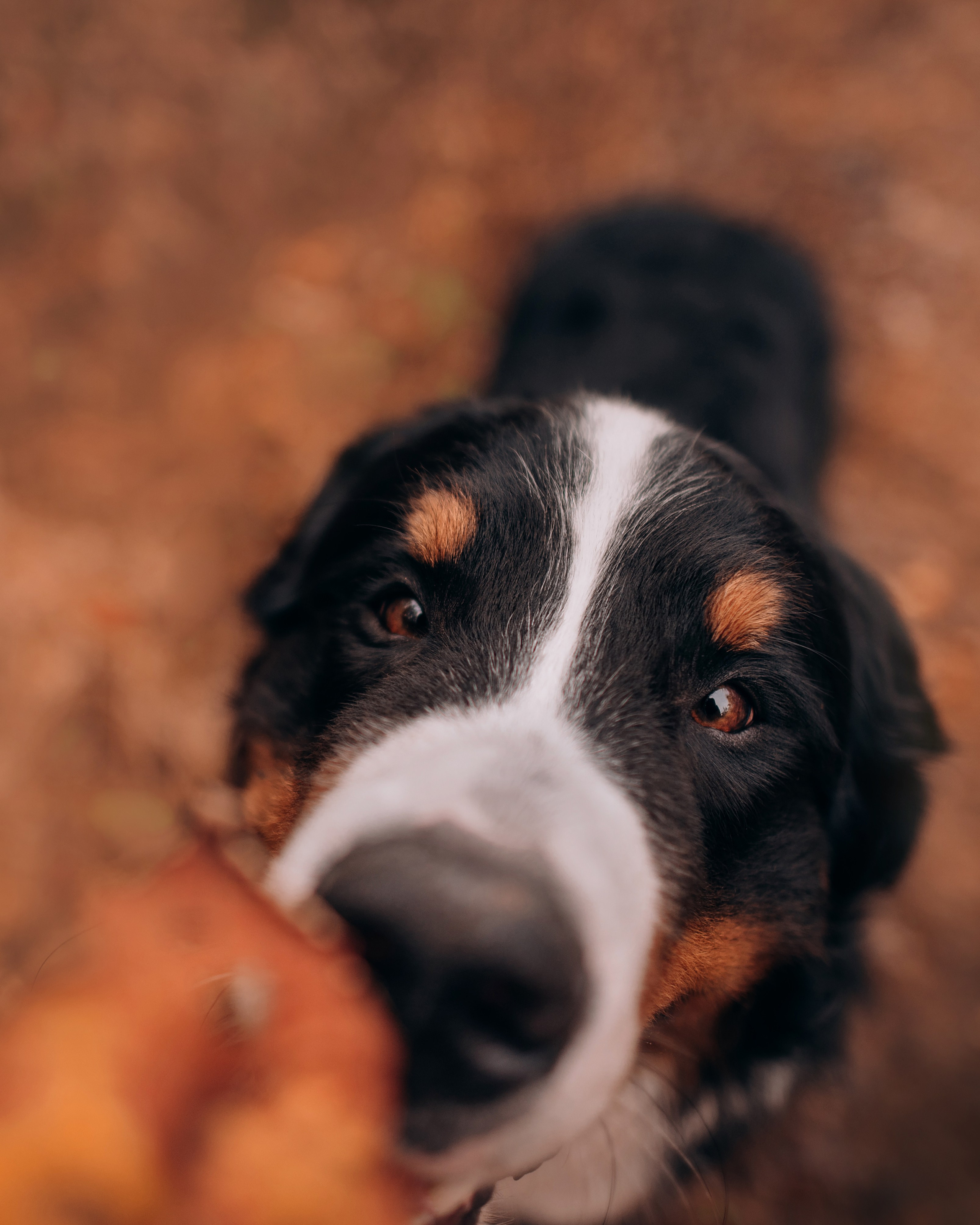 Владивосток: Марс и Маша. Портфолио