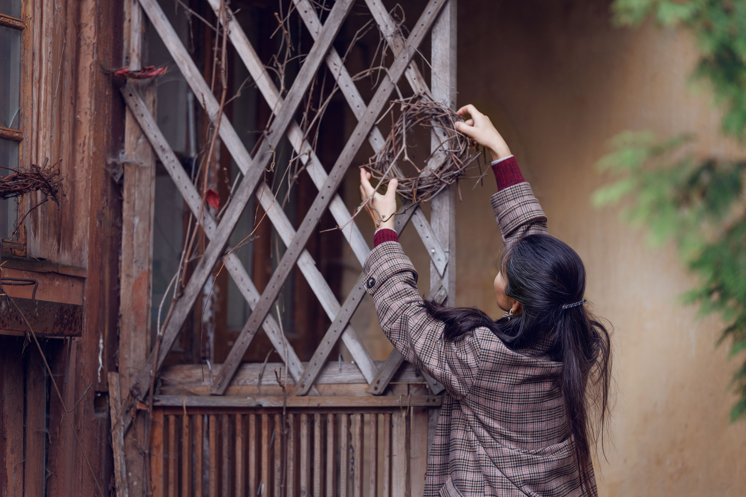 Фотосъемка в Москве и области. Фотограф-анималист в Москве и Московской области Татьяна Фролова