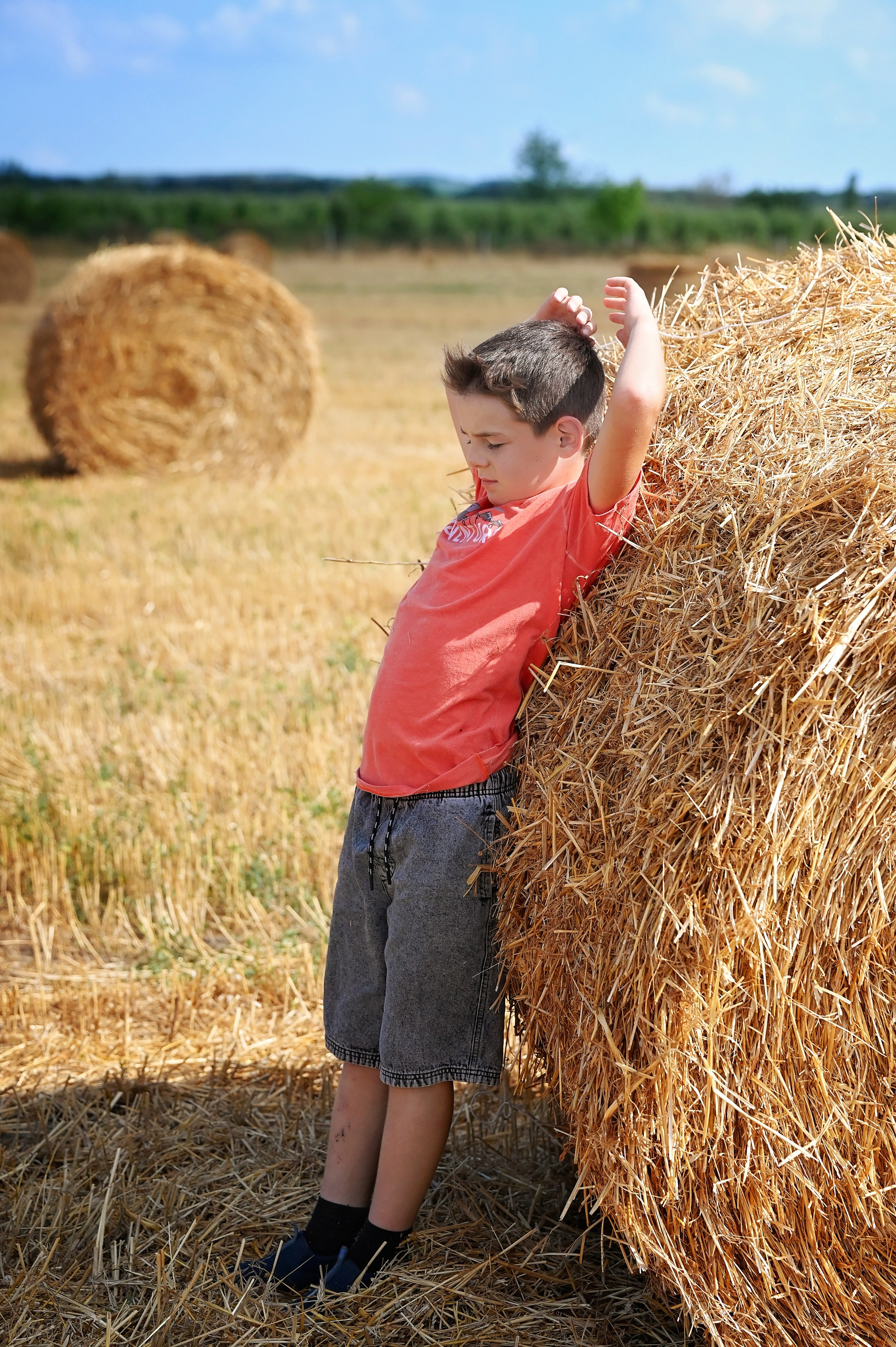 Сено. Главная