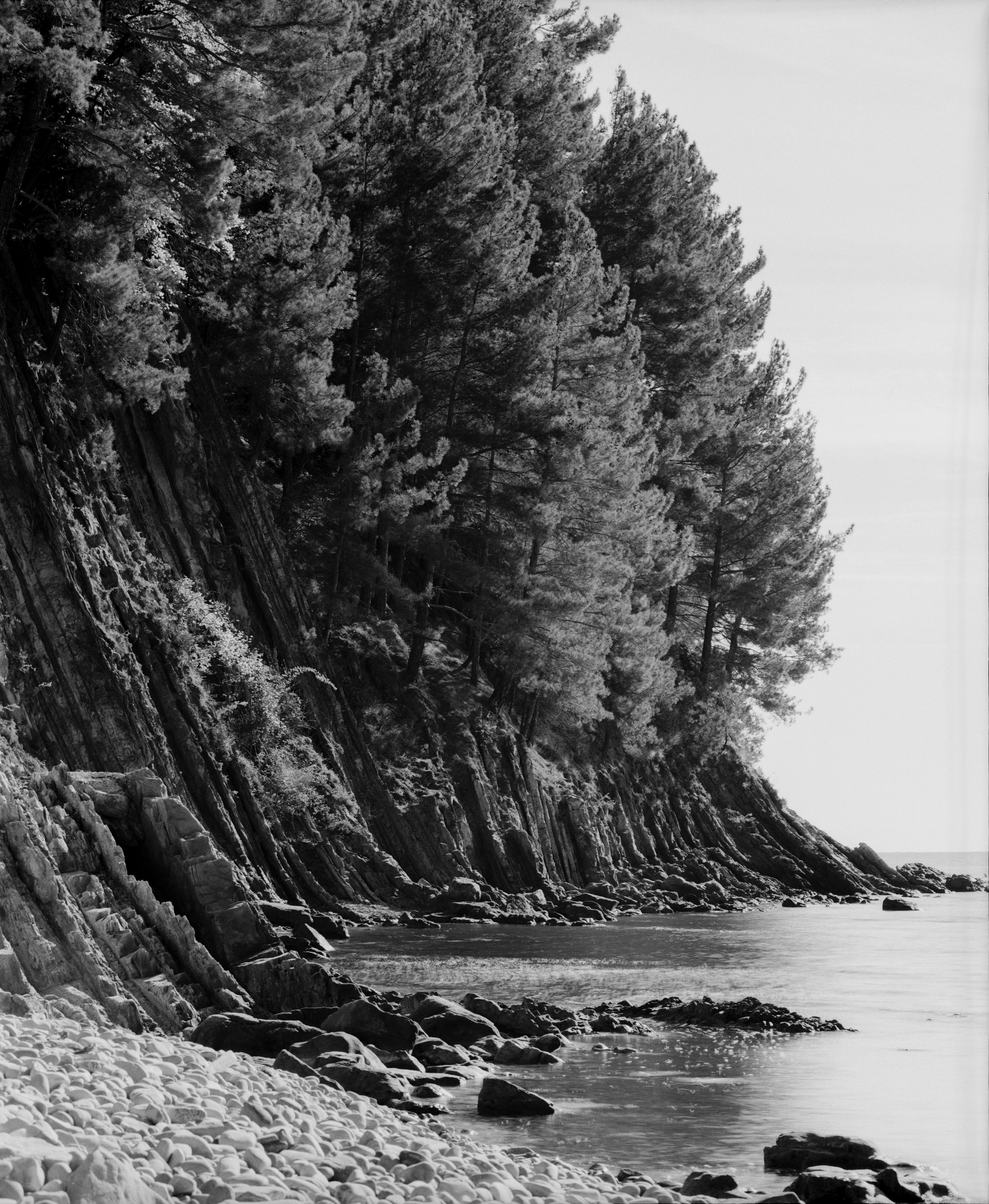 Landscape. Philipp Yelistratov