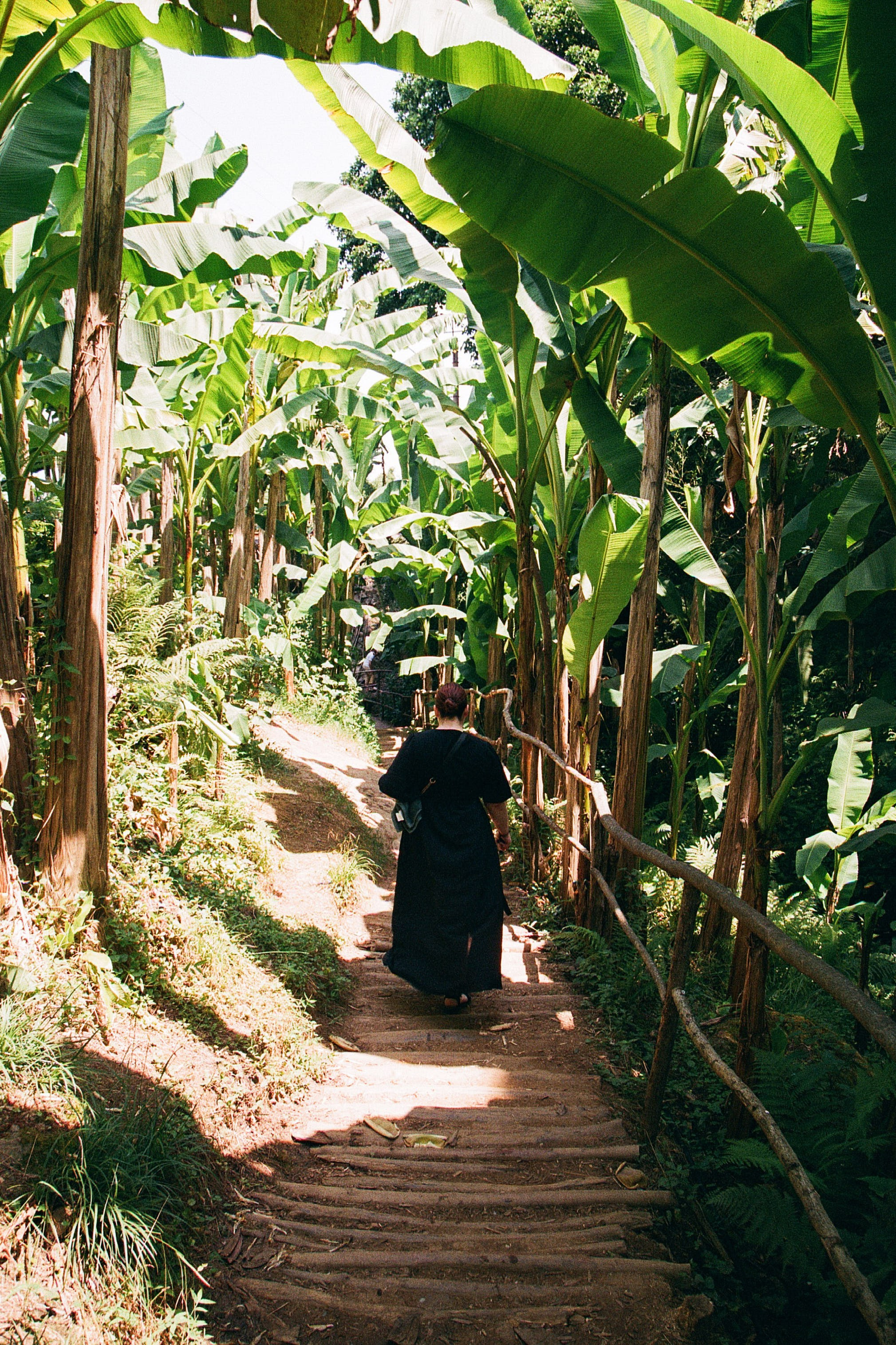 ГРУЗИЯ. ПРИРОДА.25. Профессиональный фотограф Федотова Арина