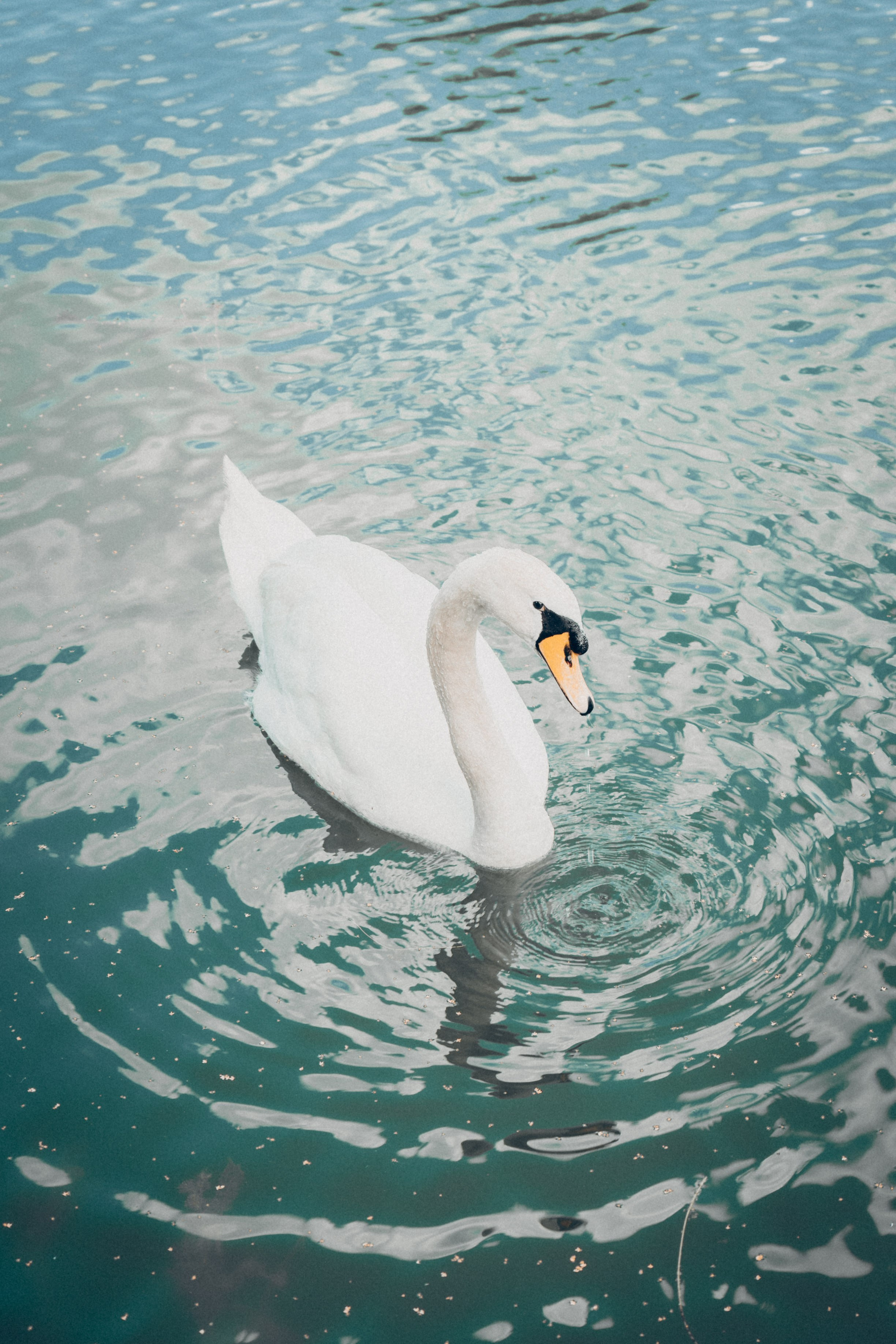Прогулка в ботаническом саду