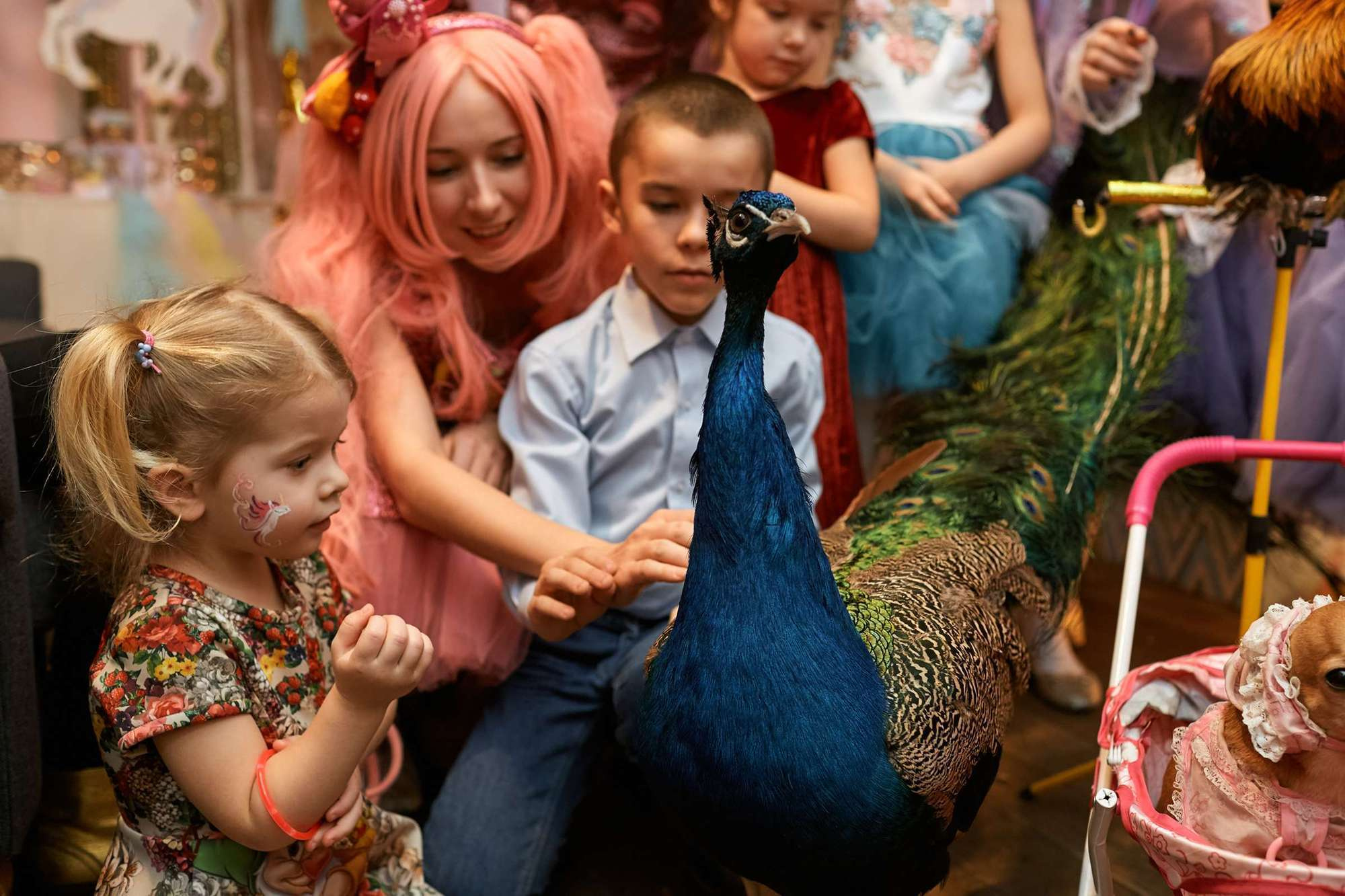 Детские праздники. Видеограф и Видеосъёмка Сергей Каличевский