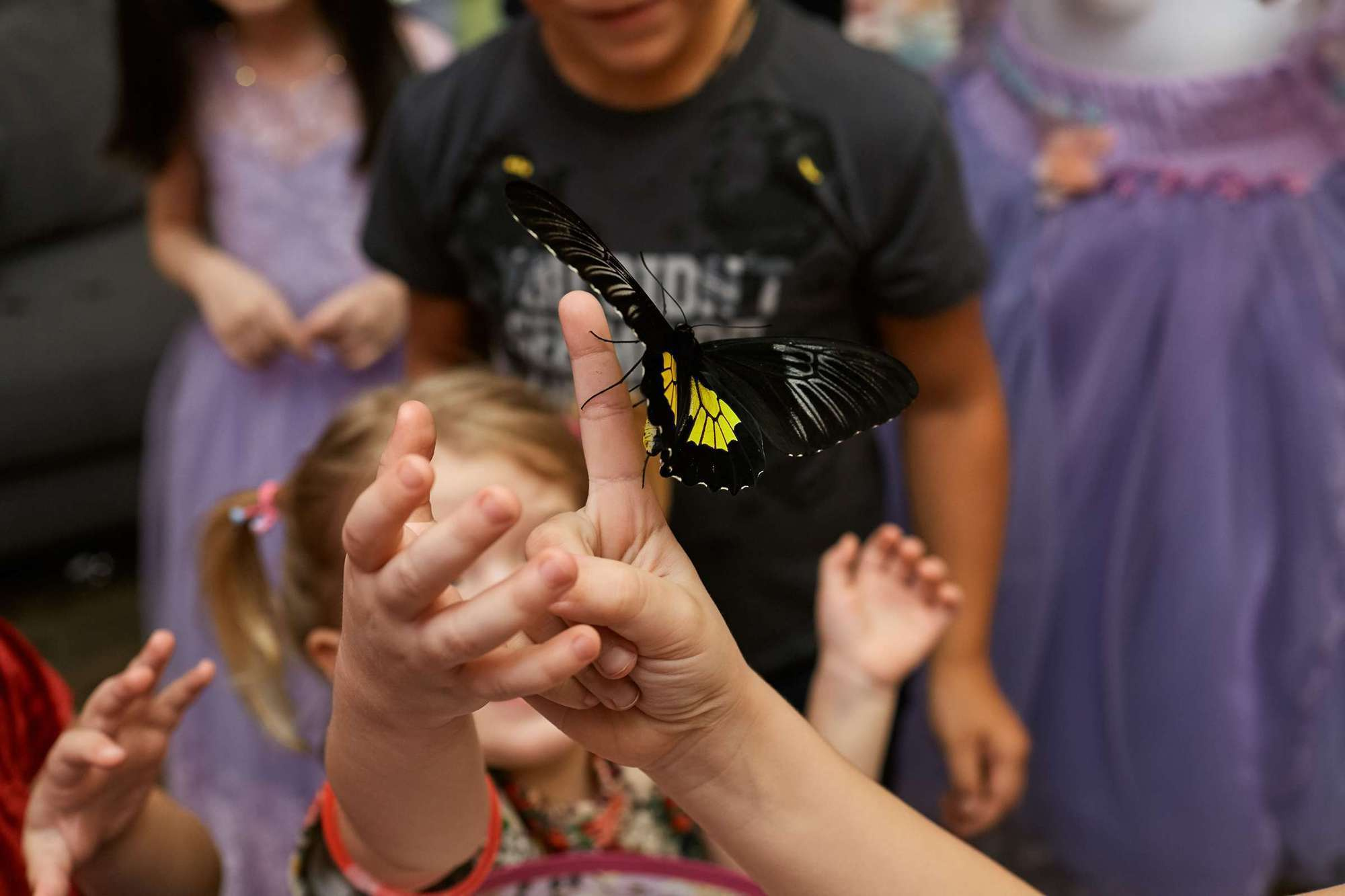 Детские праздники. Видеограф и Видеосъёмка Сергей Каличевский