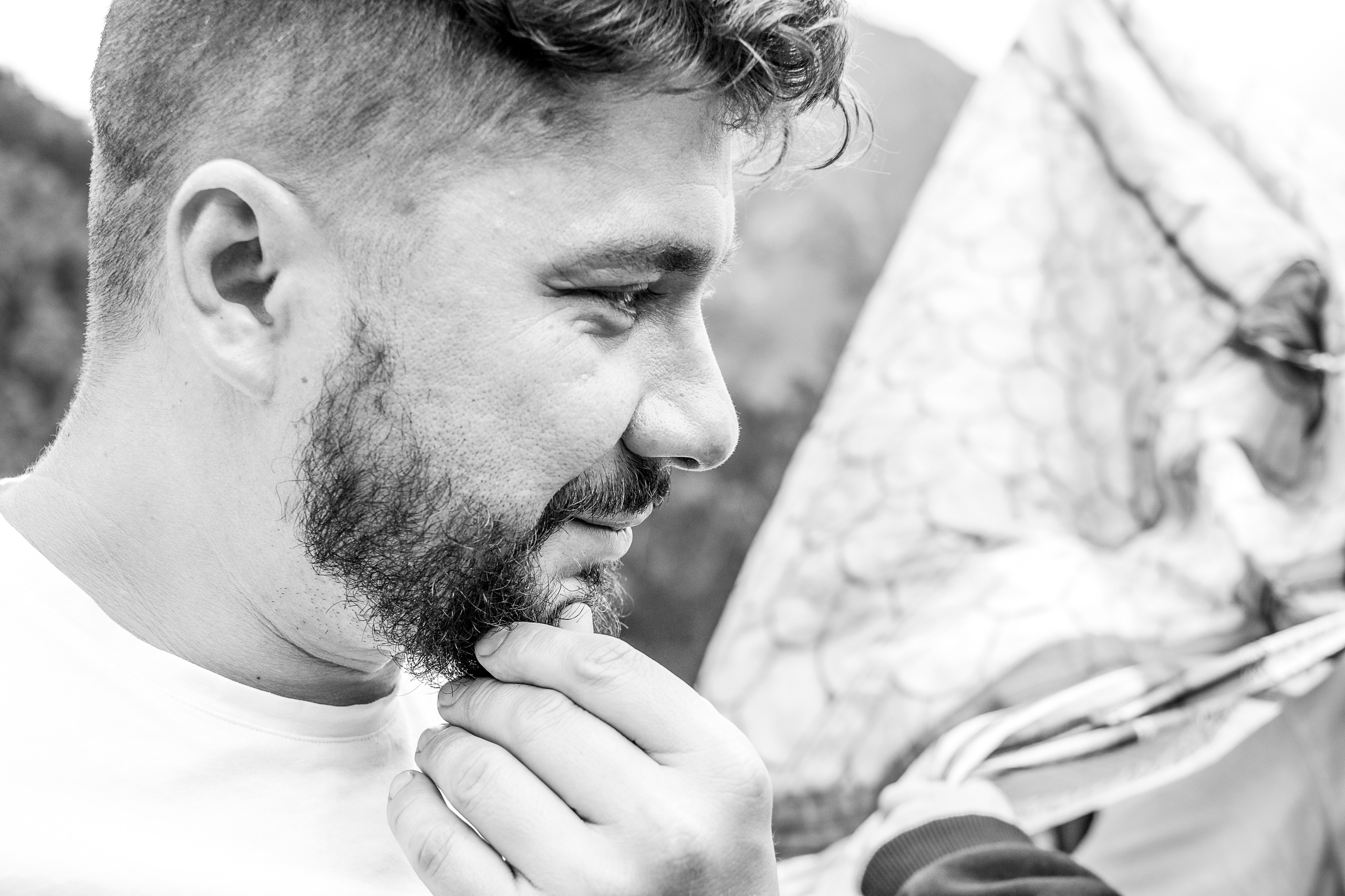 MOUNTAINS ASS FAMILY