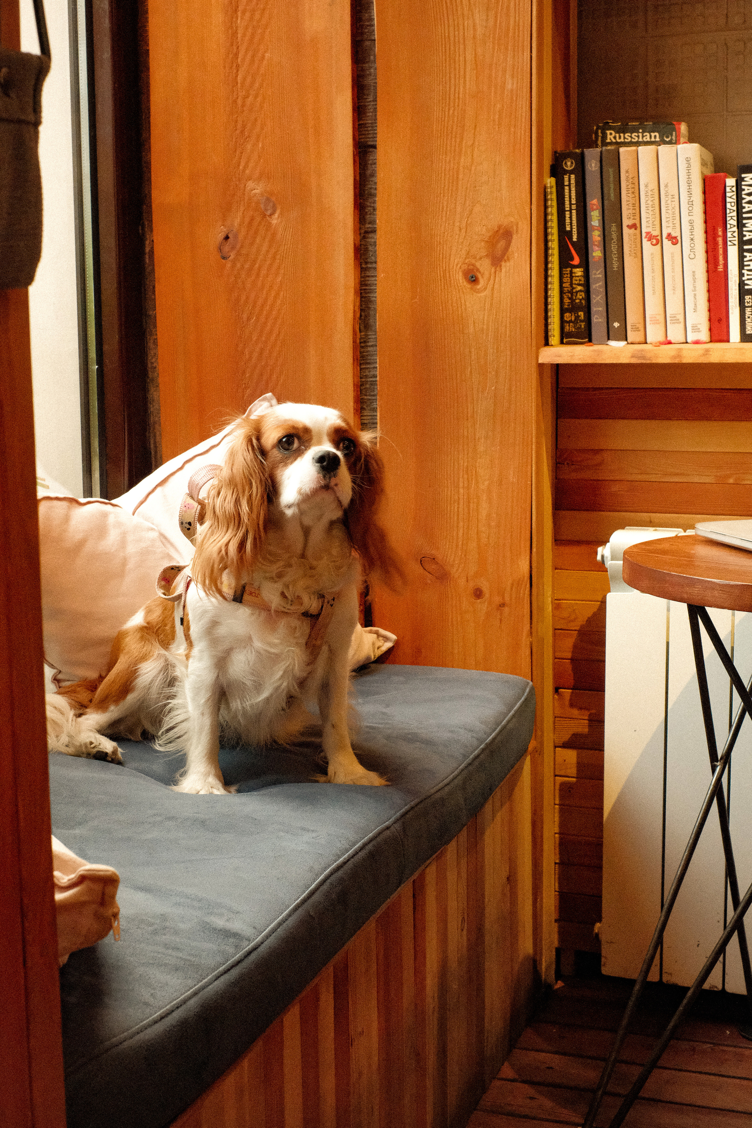 Moments of life in Russia