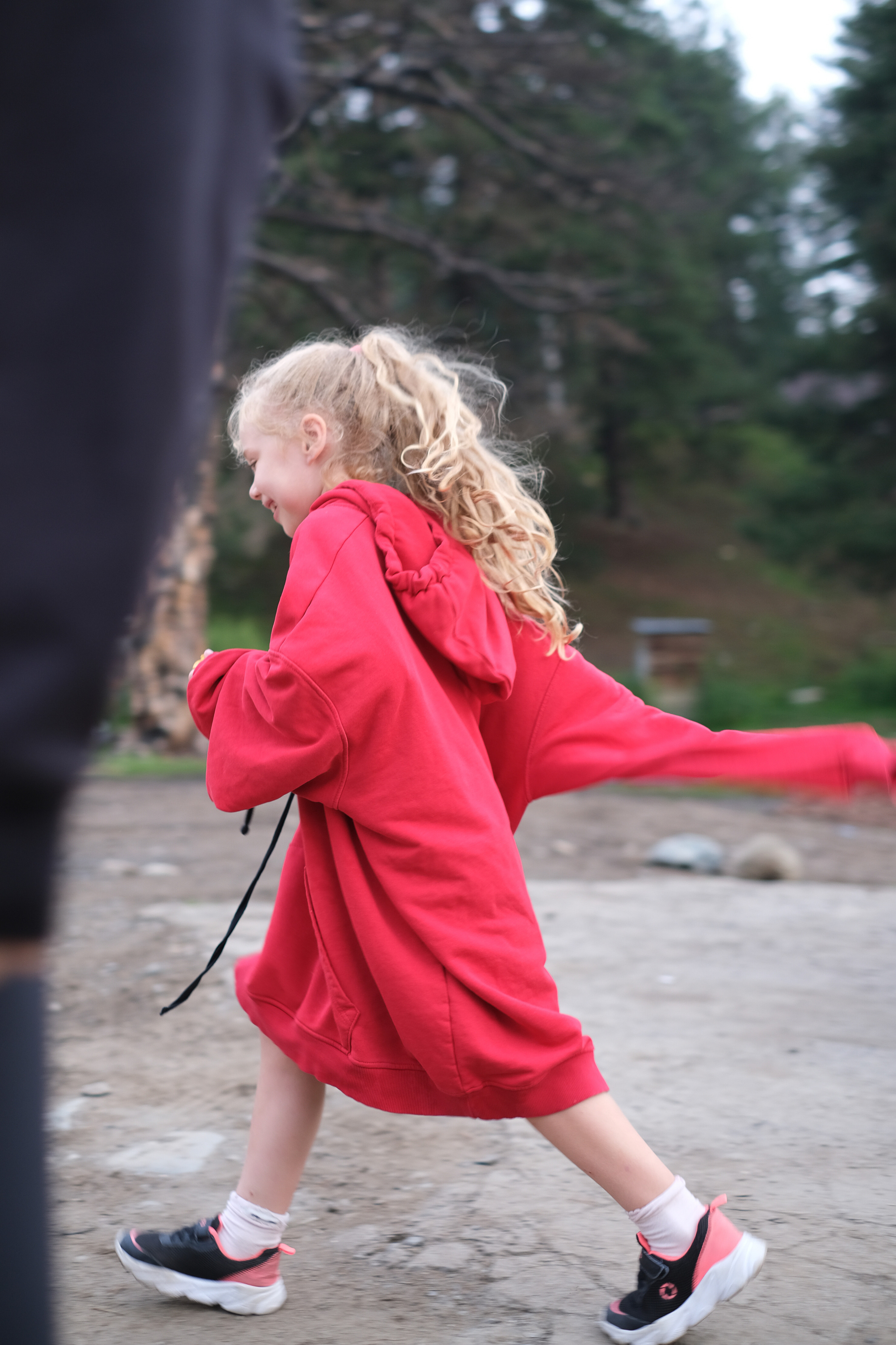 MOUNTAINS ASS FAMILY