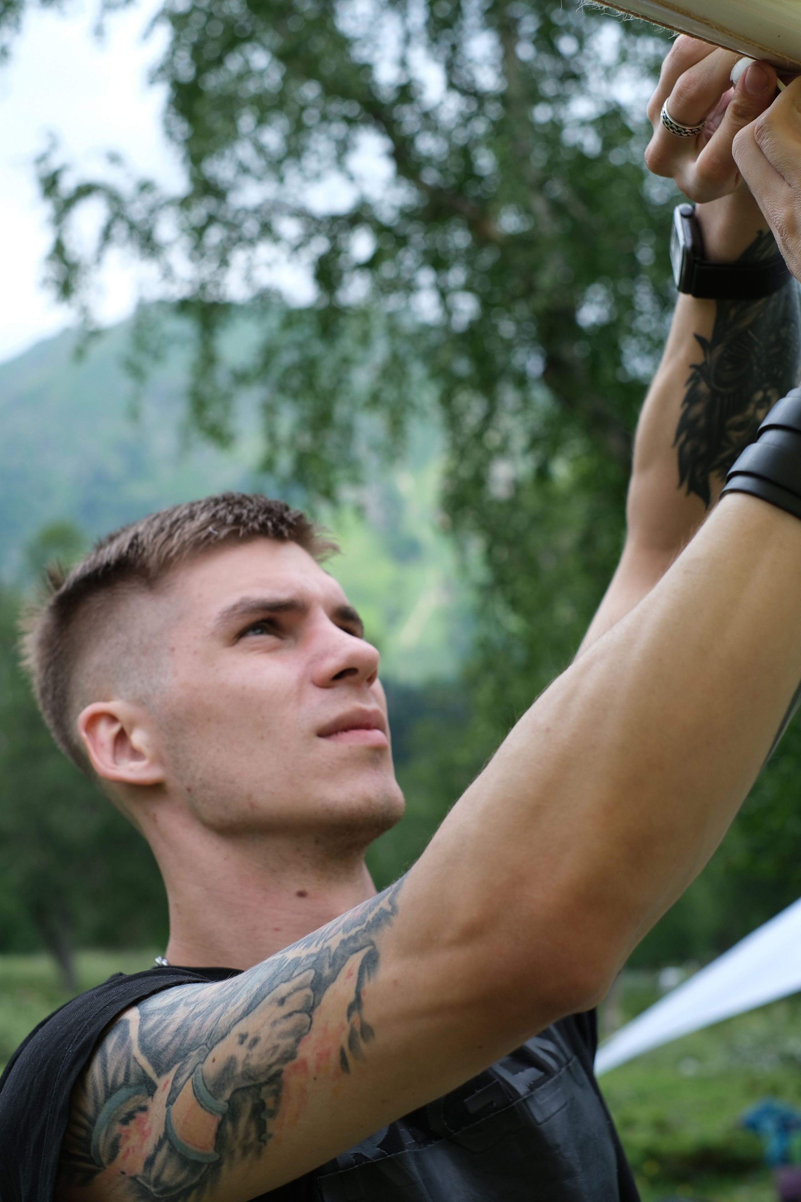 MOUNTAINS ASS FAMILY