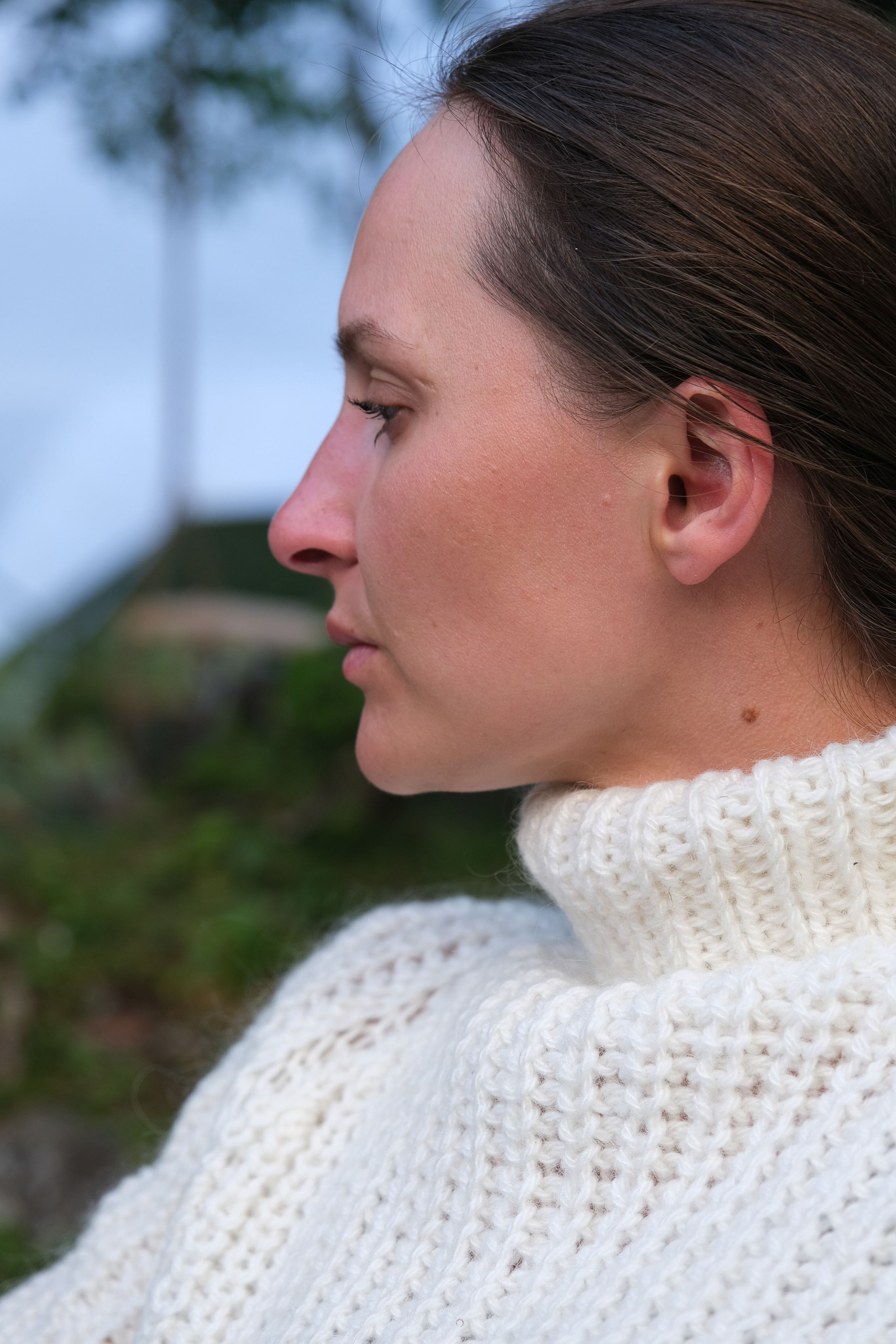 MOUNTAINS ASS FAMILY