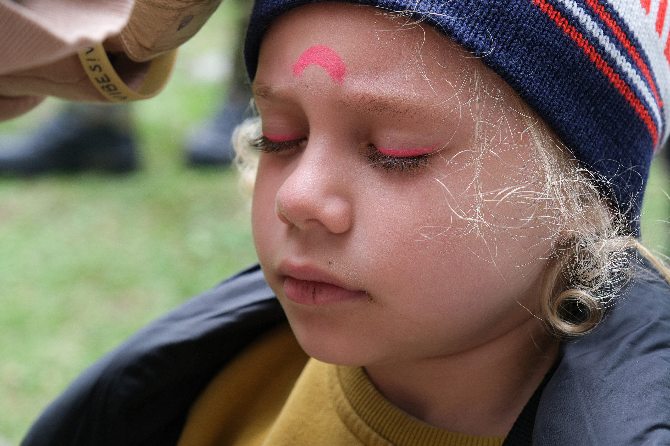 MOUNTAINS ASS FAMILY