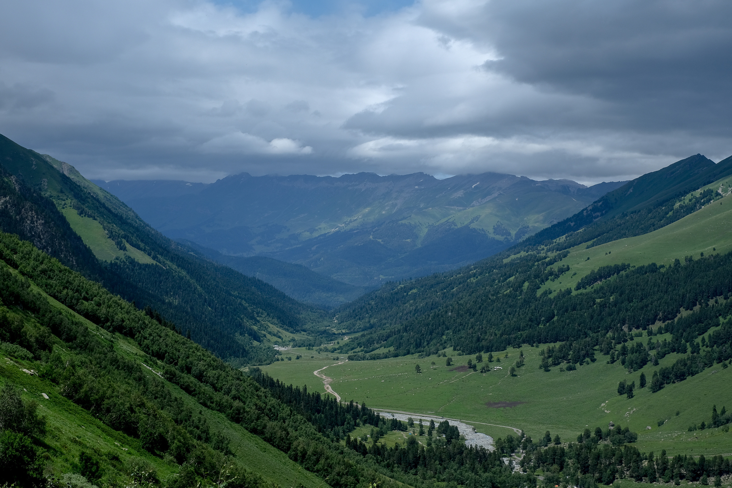 MOUNTAINS ASS FAMILY