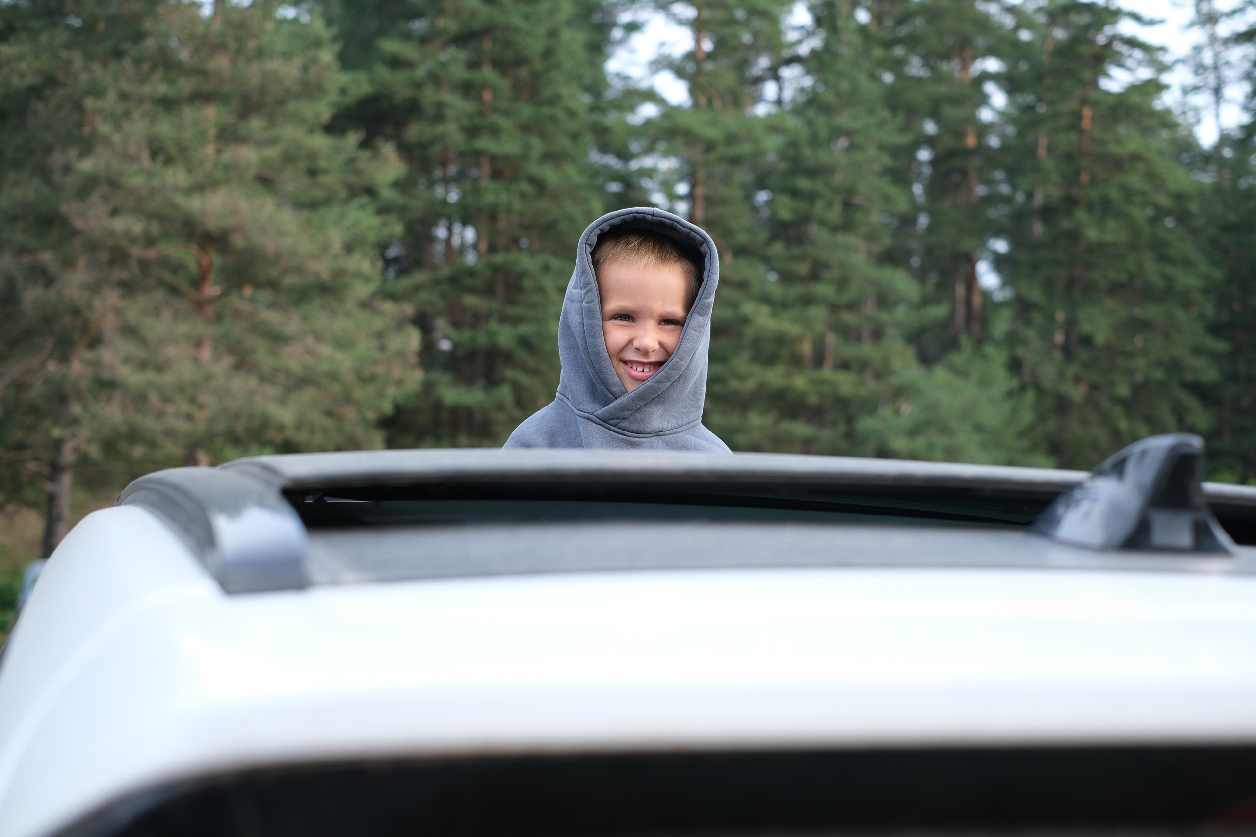 MOUNTAINS ASS FAMILY