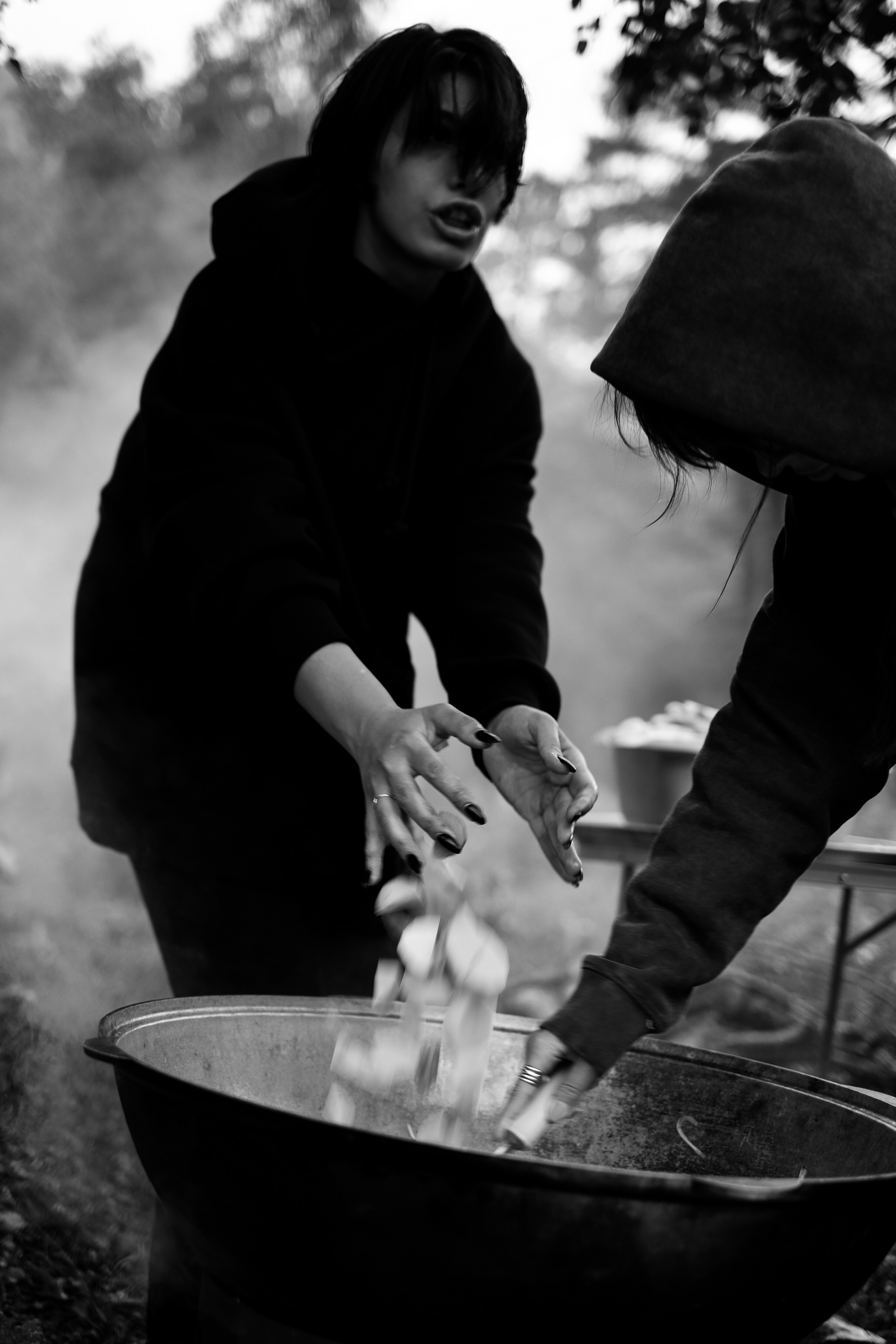 MOUNTAINS ASS FAMILY