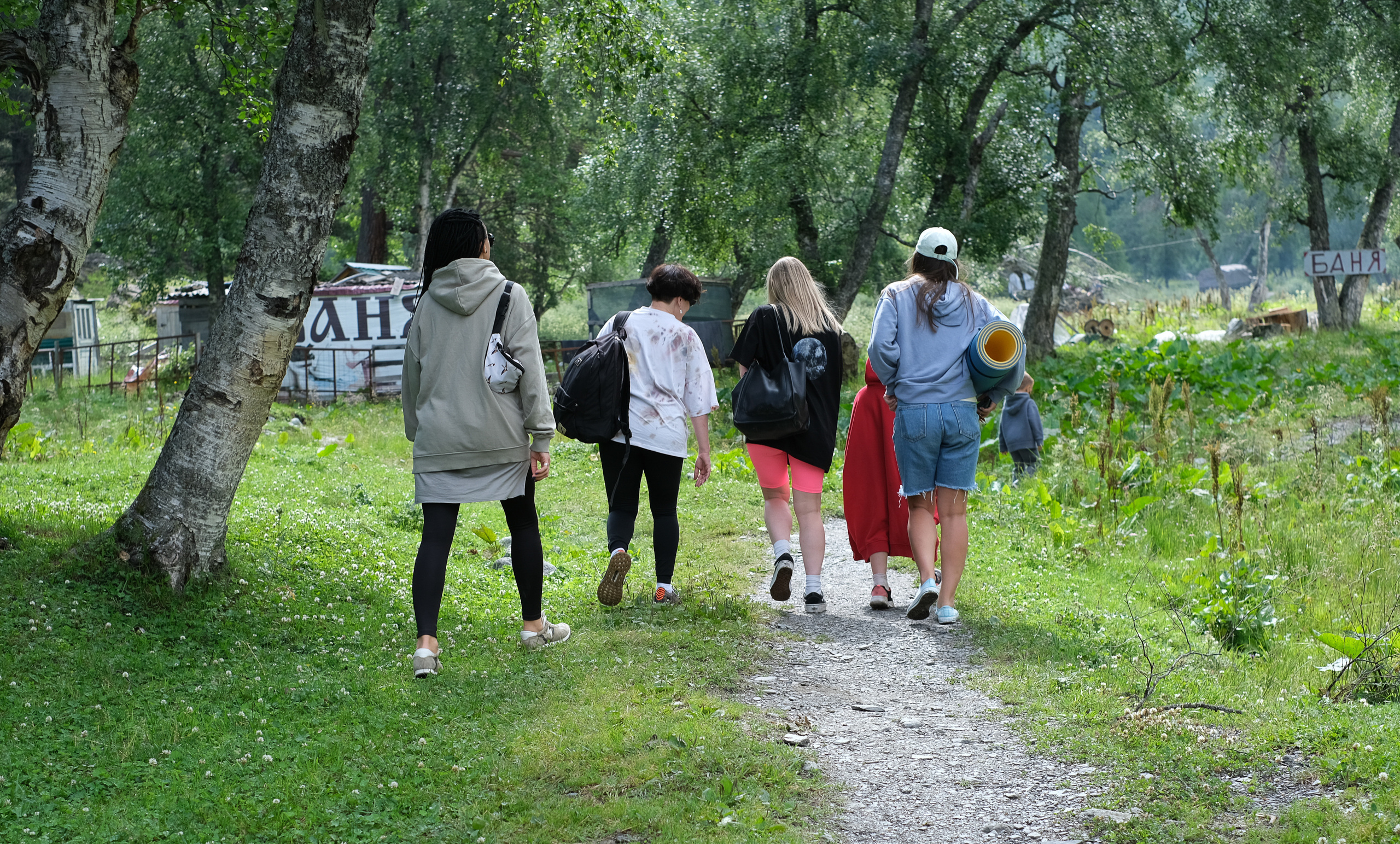 MOUNTAINS ASS FAMILY