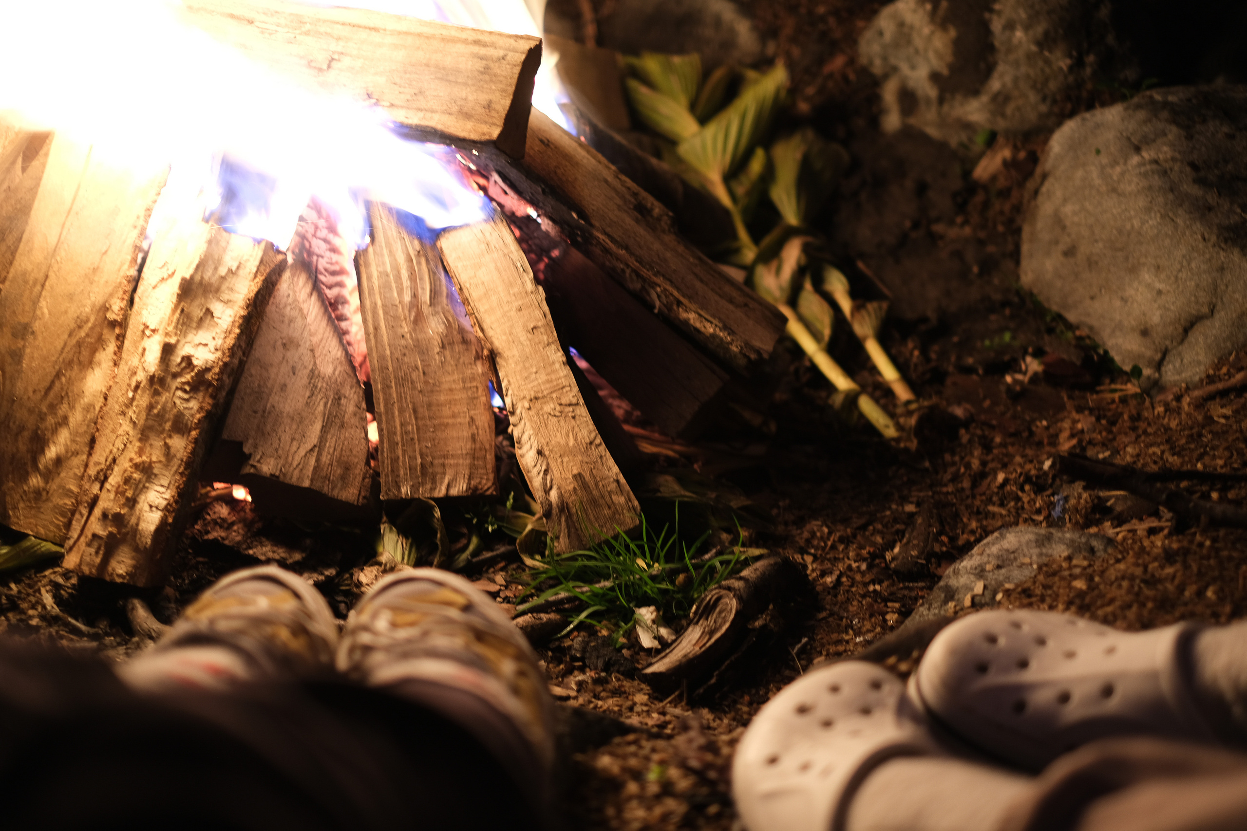 MOUNTAINS ASS FAMILY