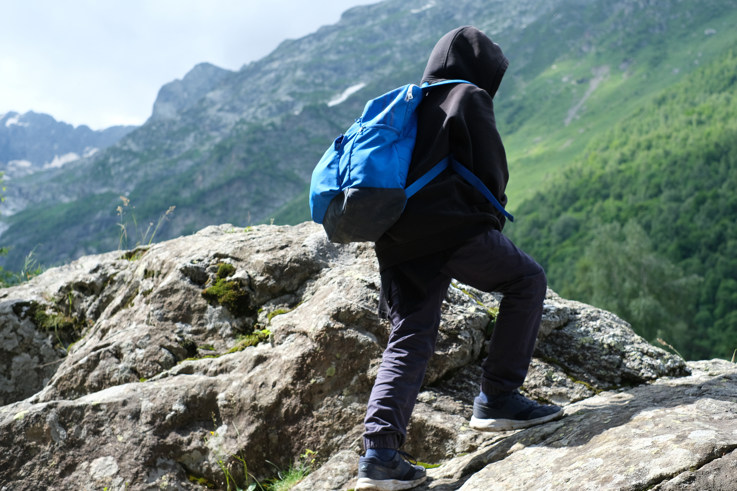 MOUNTAINS ASS FAMILY